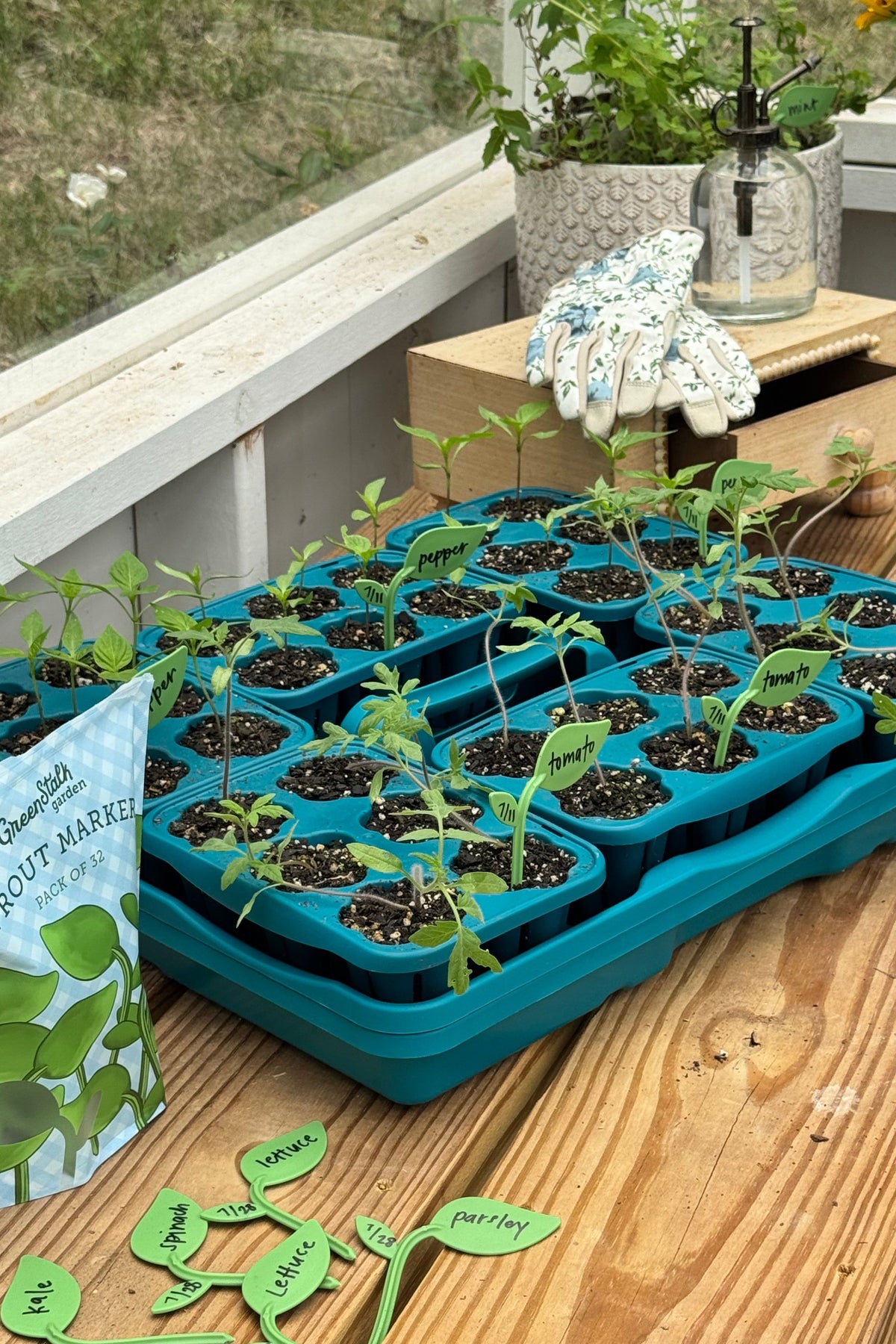 Reusable Sprout Marker - Set of 32 