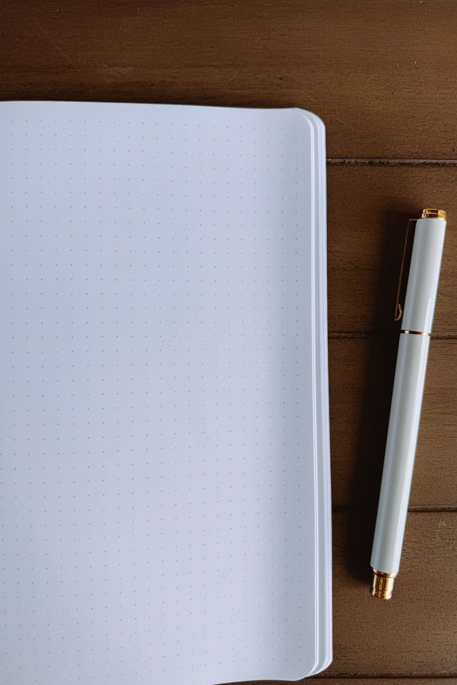 Lemon and Blueberry Notebooks 