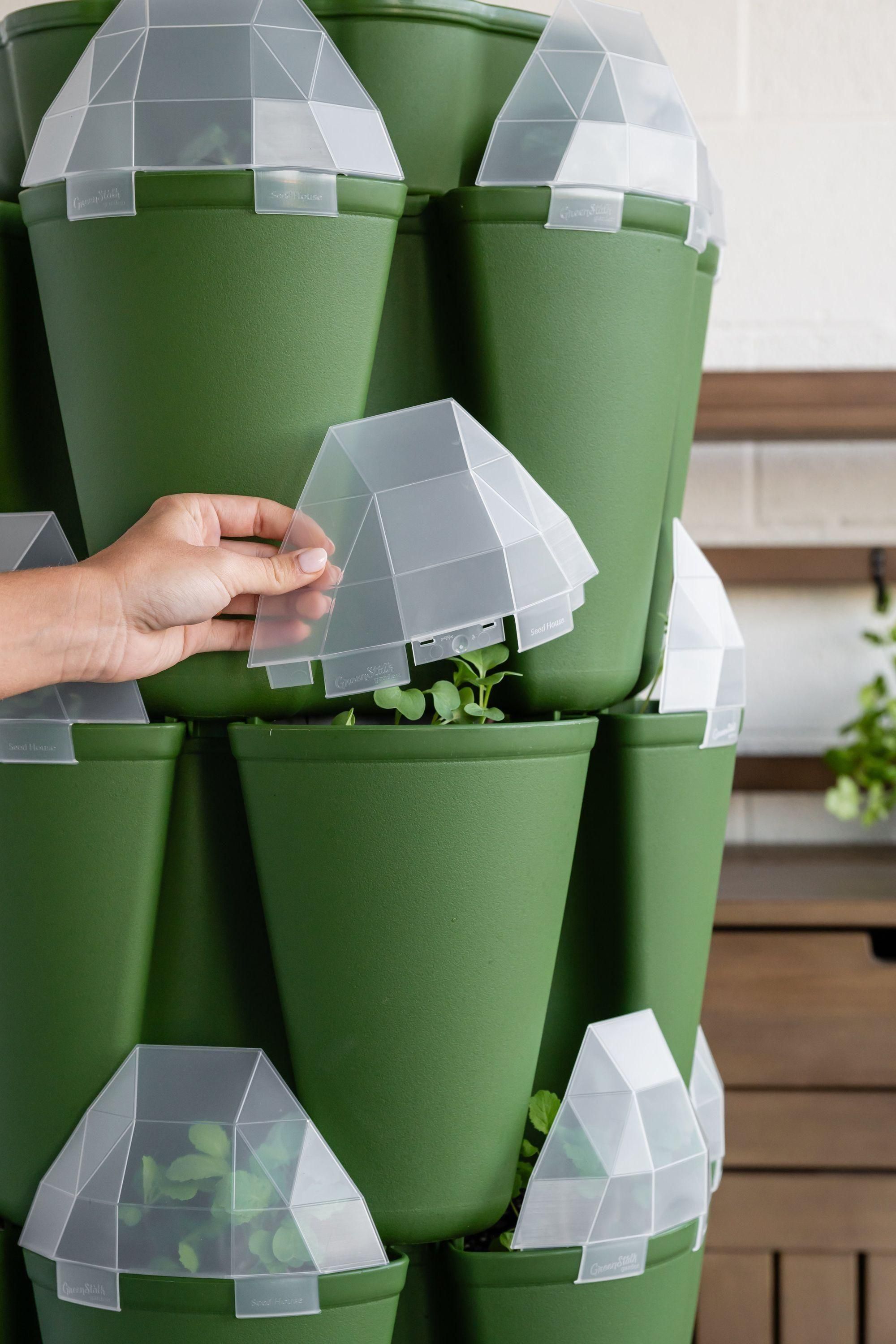 house plant from seed GreenStalk Seed House - Set of 6