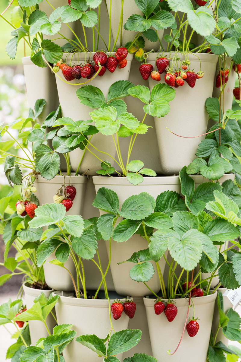 5 Tier GreenStalk Original Vertical Planter | Stunning Stone (Basic Texture) 