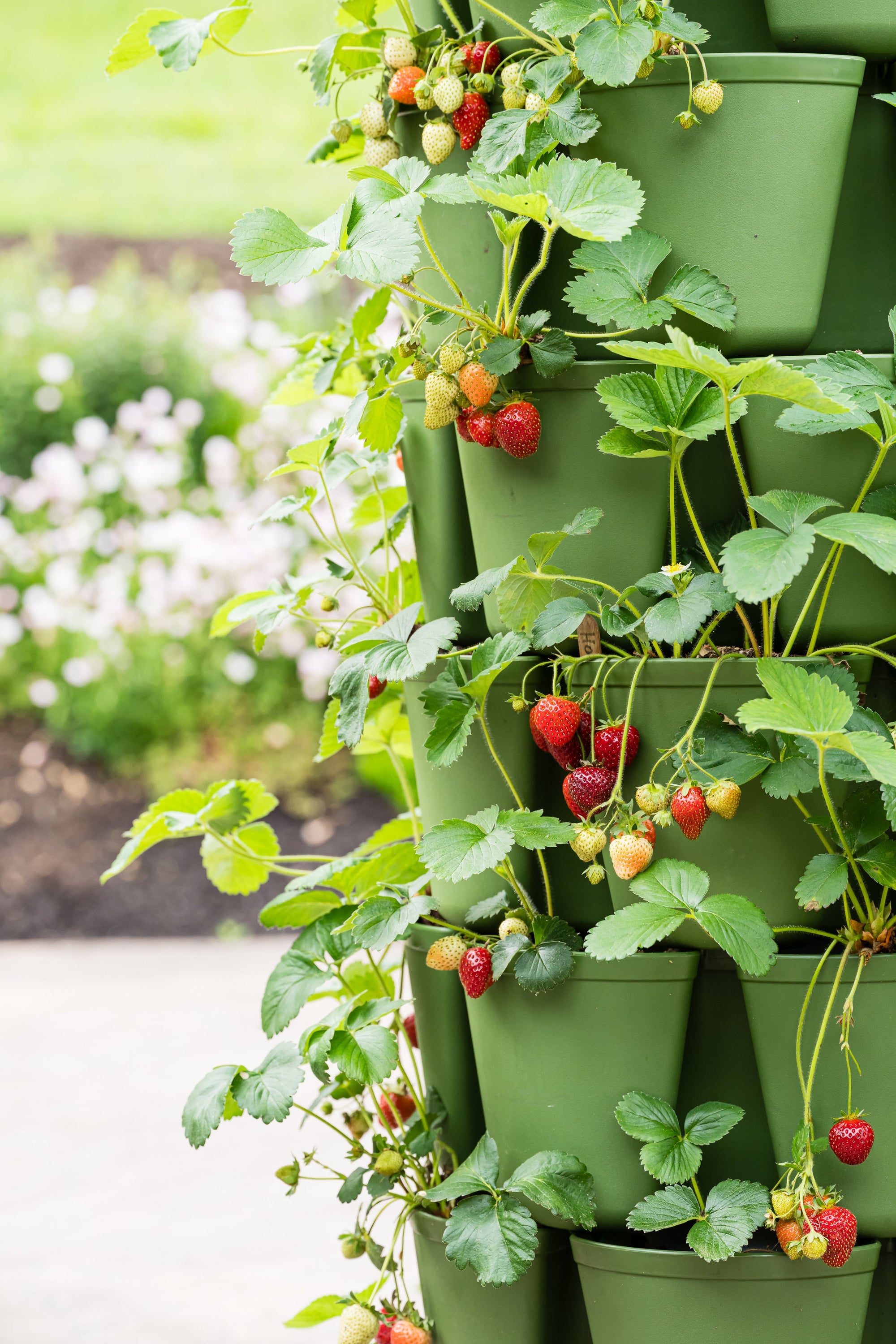7 Tier GreenStalk Leaf Vertical Planter | Evergreen (Basic Texture) 