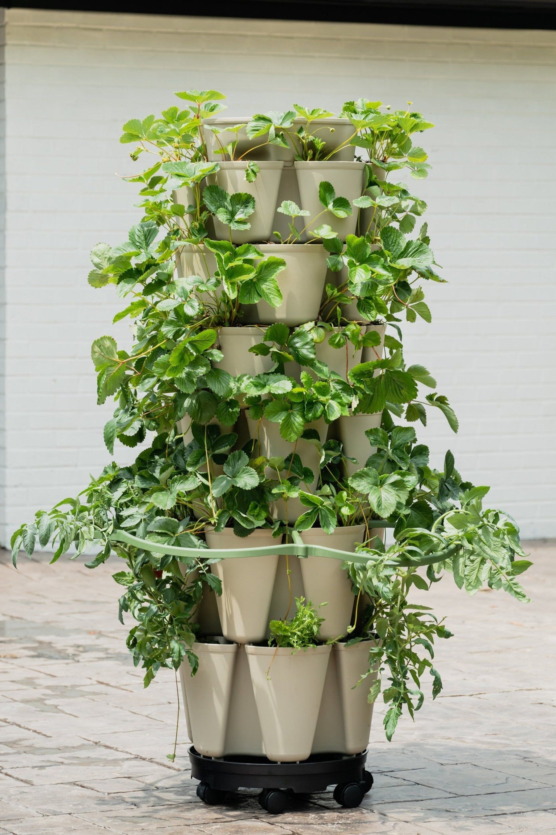 All Products | GreenStalk Garden