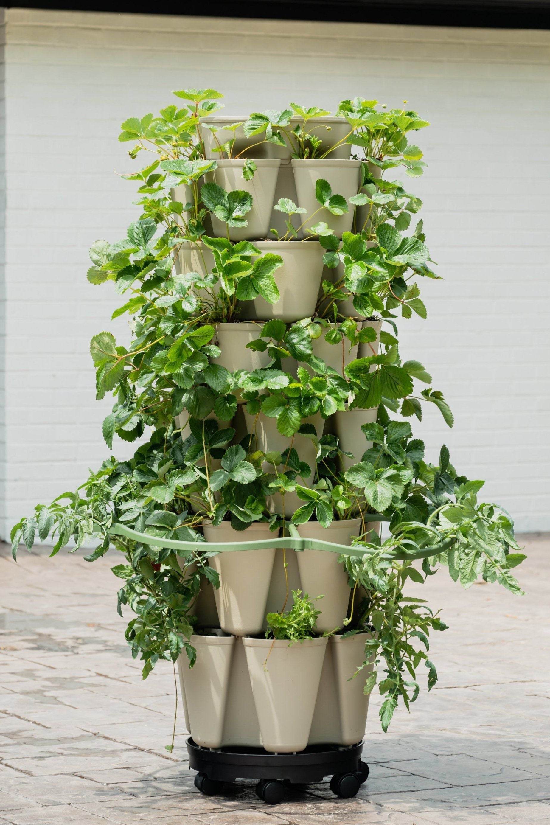 Inventor's Bundle | Stunning Stone (Basic Texture) | GreenStalk Garden