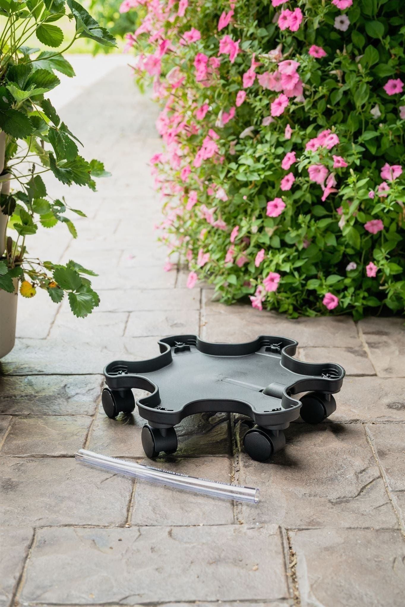 plant pot holder with wheels GreenStalk Mover