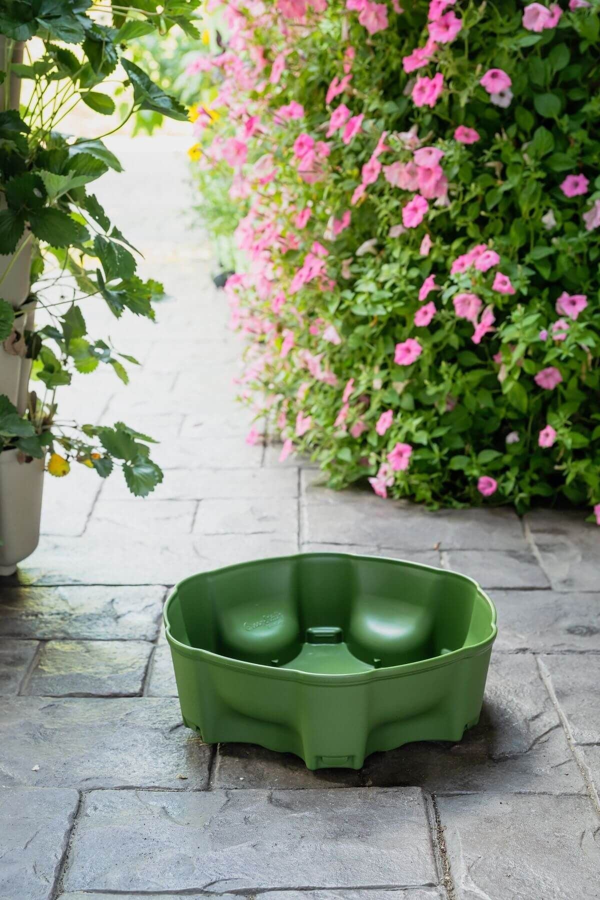water plant pots Top Water Reservoir | Evergreen (Basic Texture)