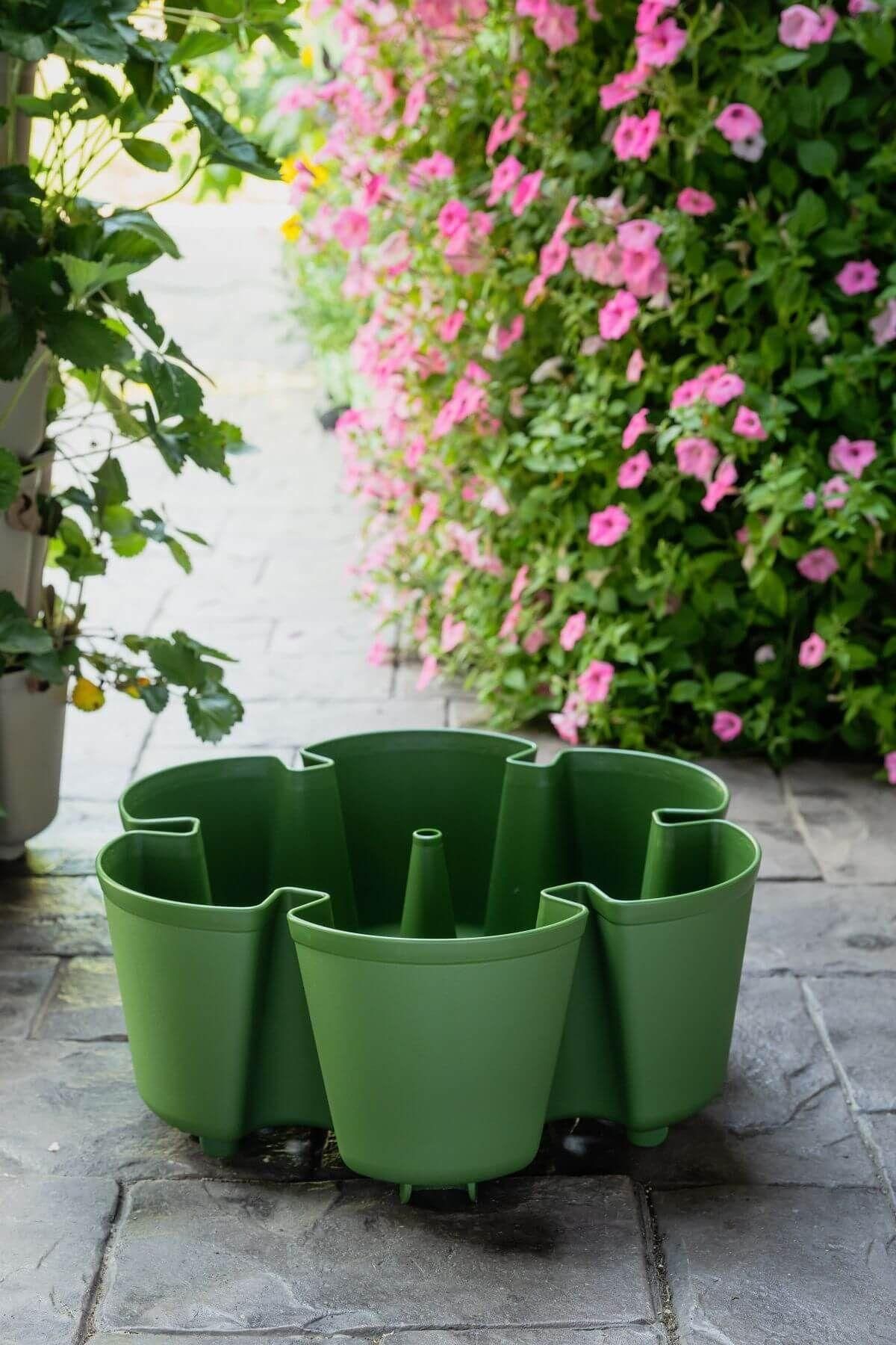 Individual Leaf Planter | Evergreen (Basic Texture) 