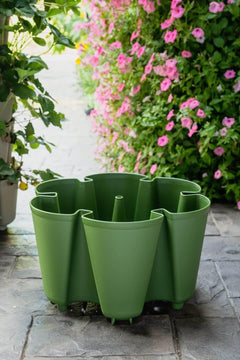 plastic vertical garden planter Individual Original Planter | Evergreen (Basic Texture)