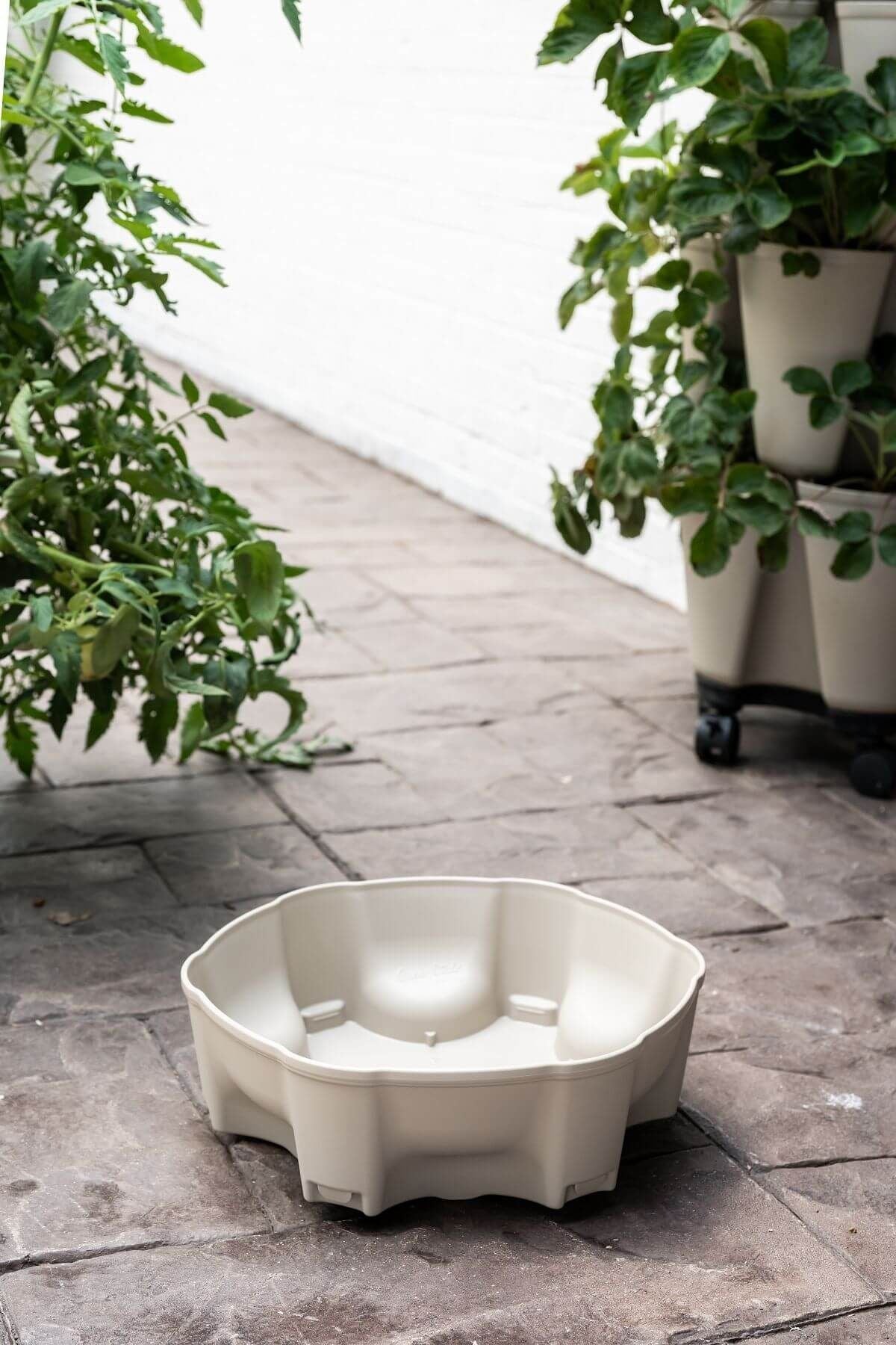 plant pot reservoir Top Water Reservoir | Stunning Stone (Basic Texture)