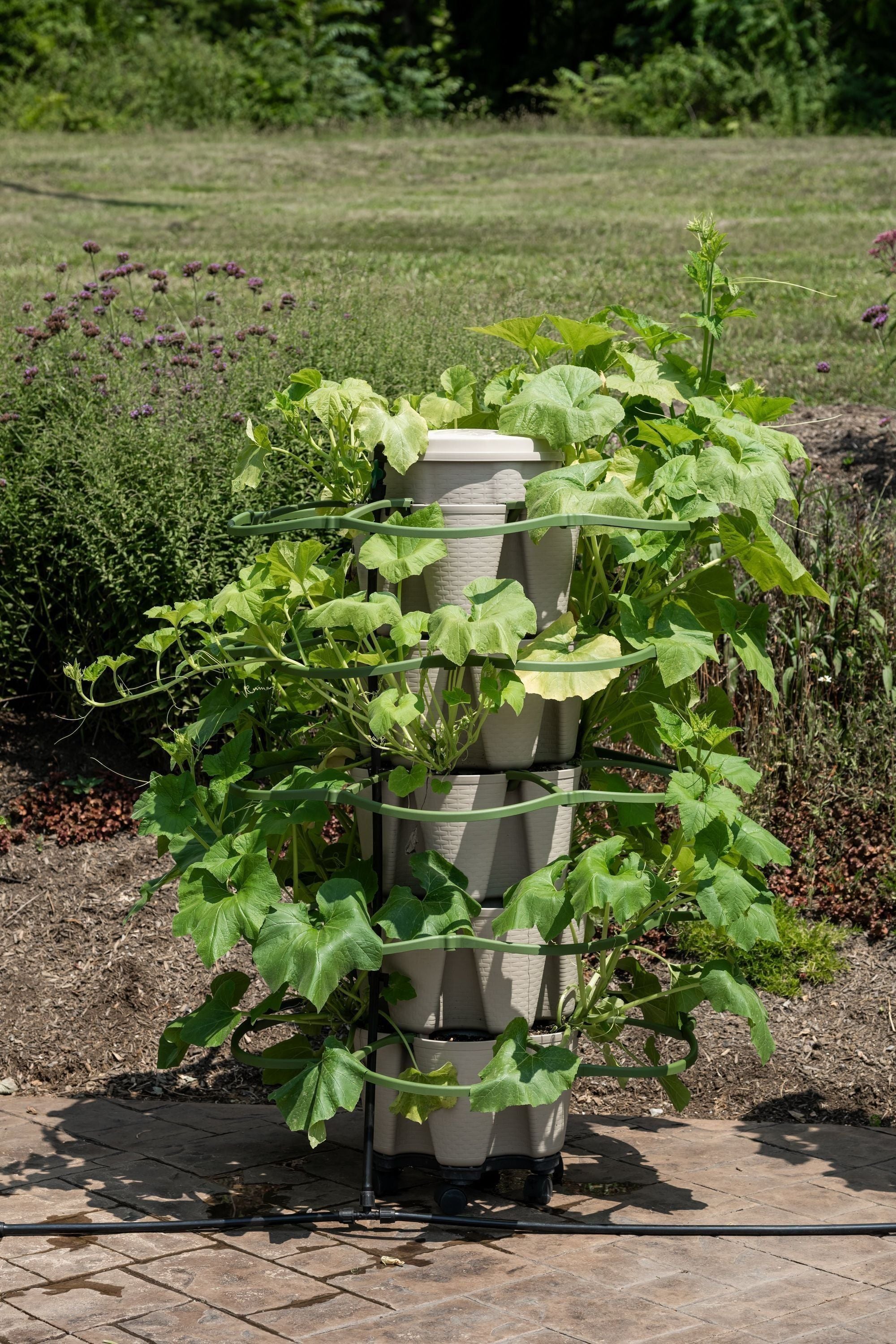 plant supports for pots GreenStalk Plant Support