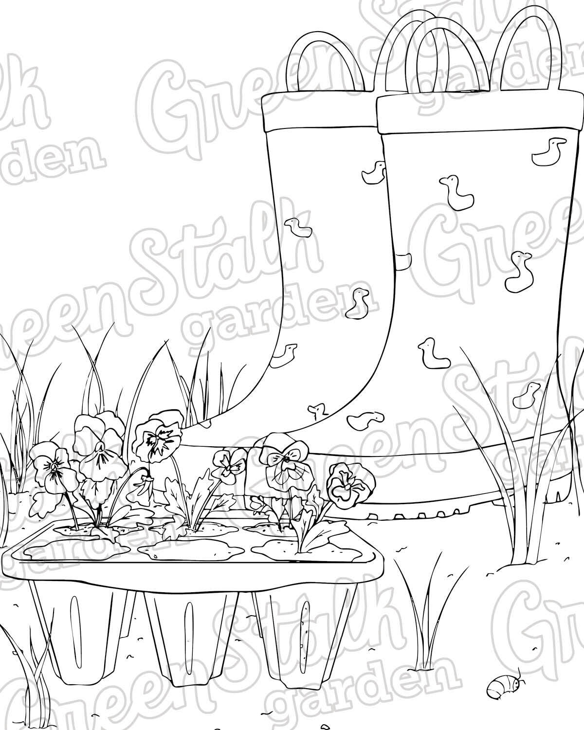 Coloring Book - Kids' Edition 