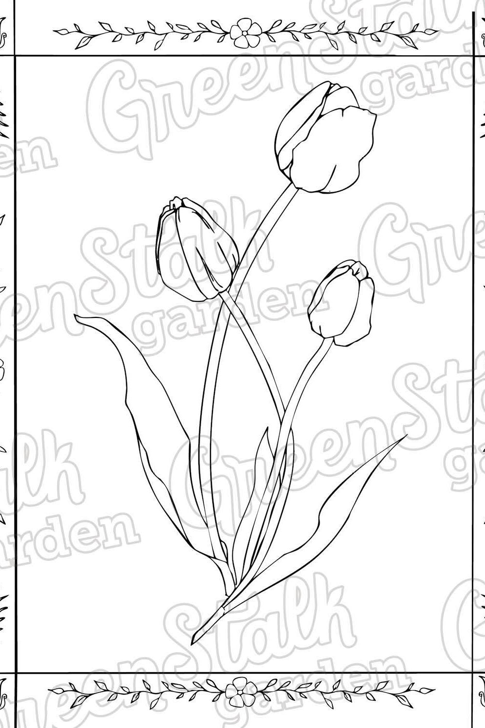 Coloring Book - Kids' Edition 