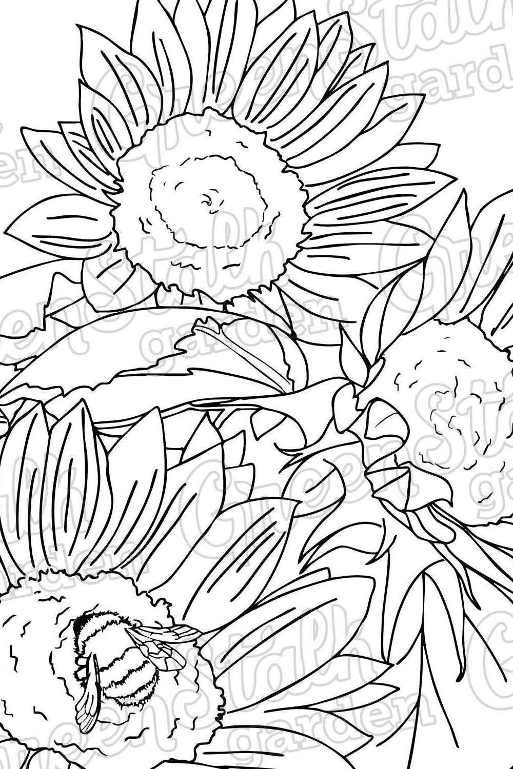 Coloring Book - Kids' Edition 