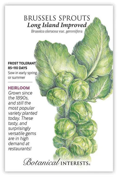 Cassandra's Seed Bundle 