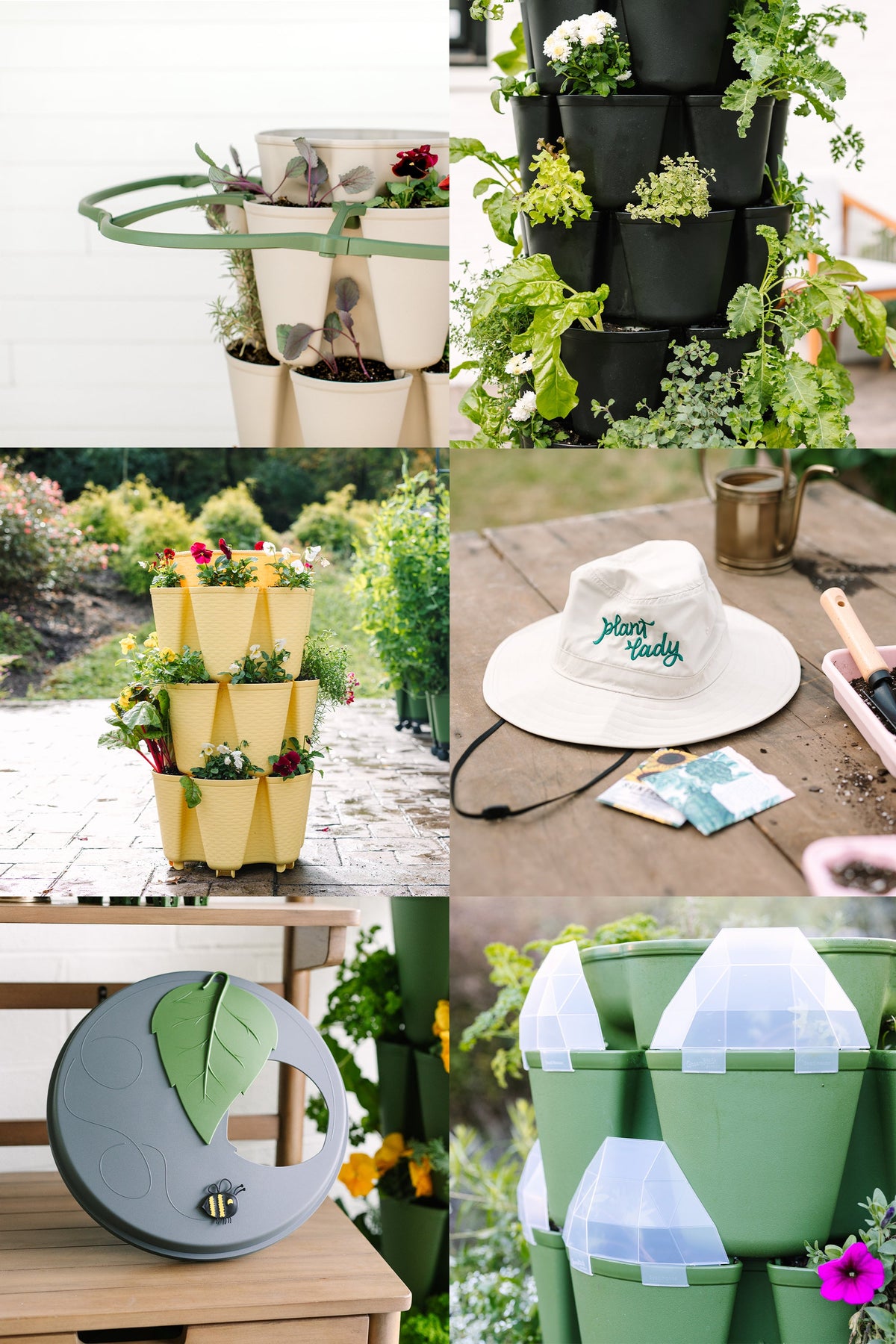 Mystery Box (Valued at $200+) 