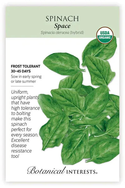 Cassandra's Seed Bundle 