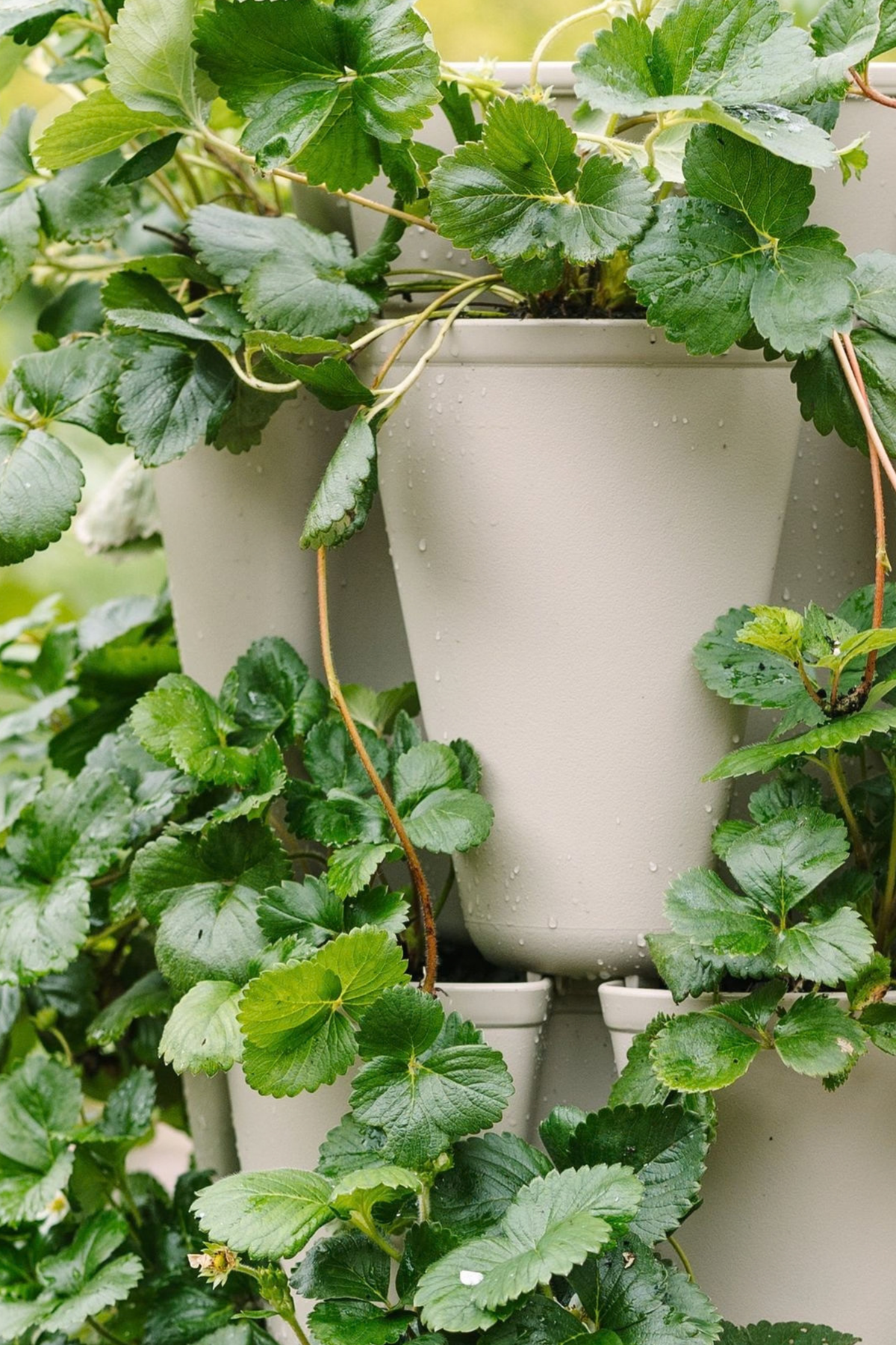 4 Tier GreenStalk Original Vertical Planter | Stunning Stone (Basic Texture) 