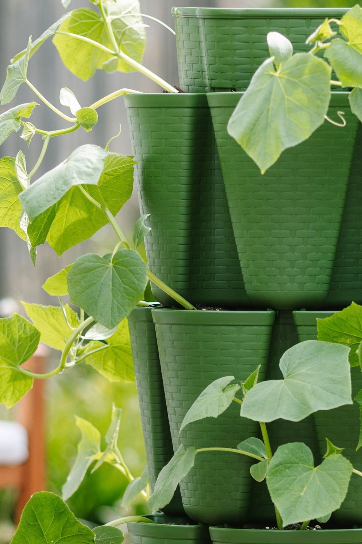 4 Tier GreenStalk Original Vertical Planter | Evergreen (Basket Weave Texture) 
