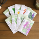 Yellow Door Urban Homestead Seed Bundle