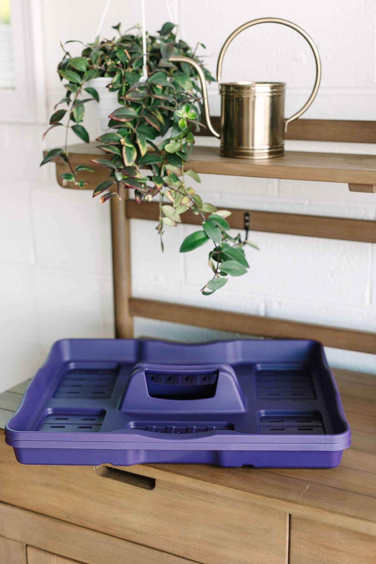 GreenStalk Carrier + Water Tray | Blackberry 