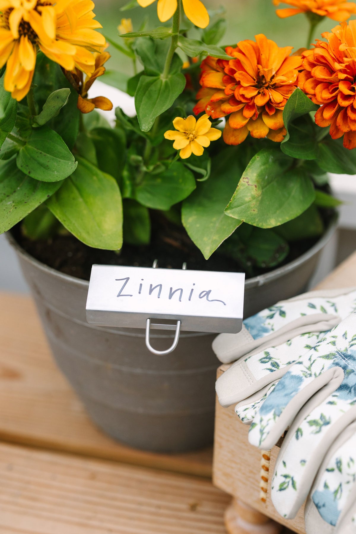 Pack of 25 Plant Markers for Staking in the GreenStalk 
