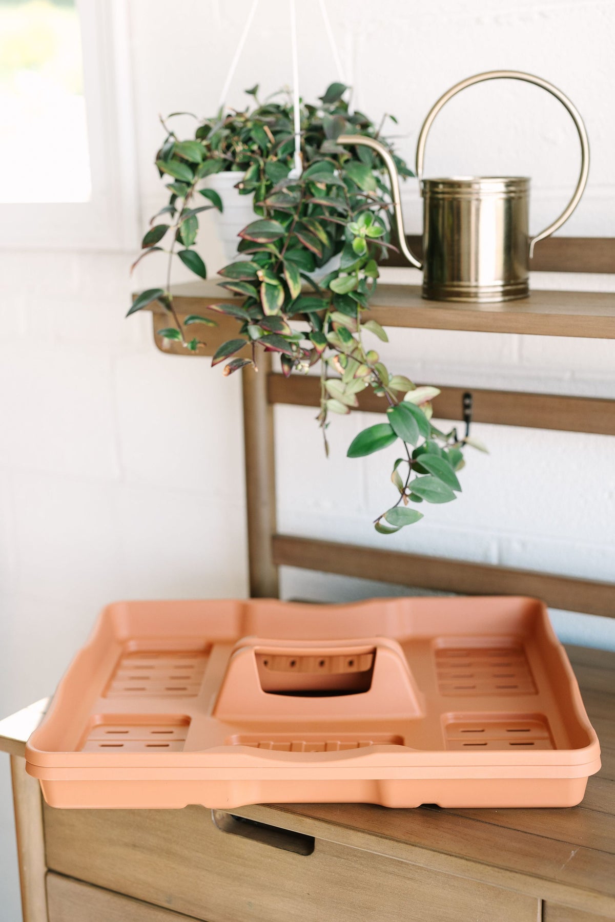 plant watering dish rack GreenStalk Seed Starter Kit with Domes | Classic Terracotta