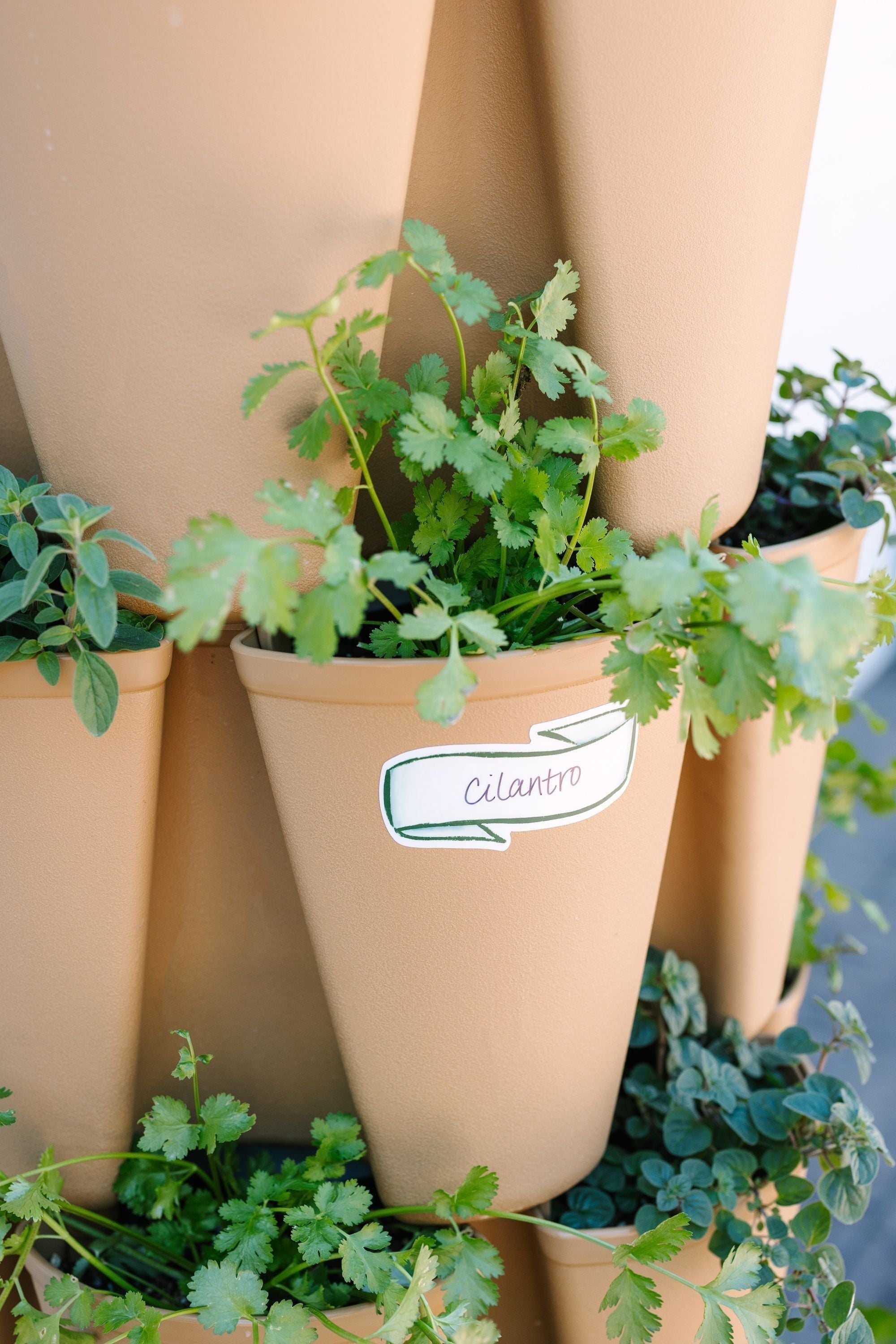 stickers for outdoor plant pots Blank Plant Marker Sticker - Pack of 6