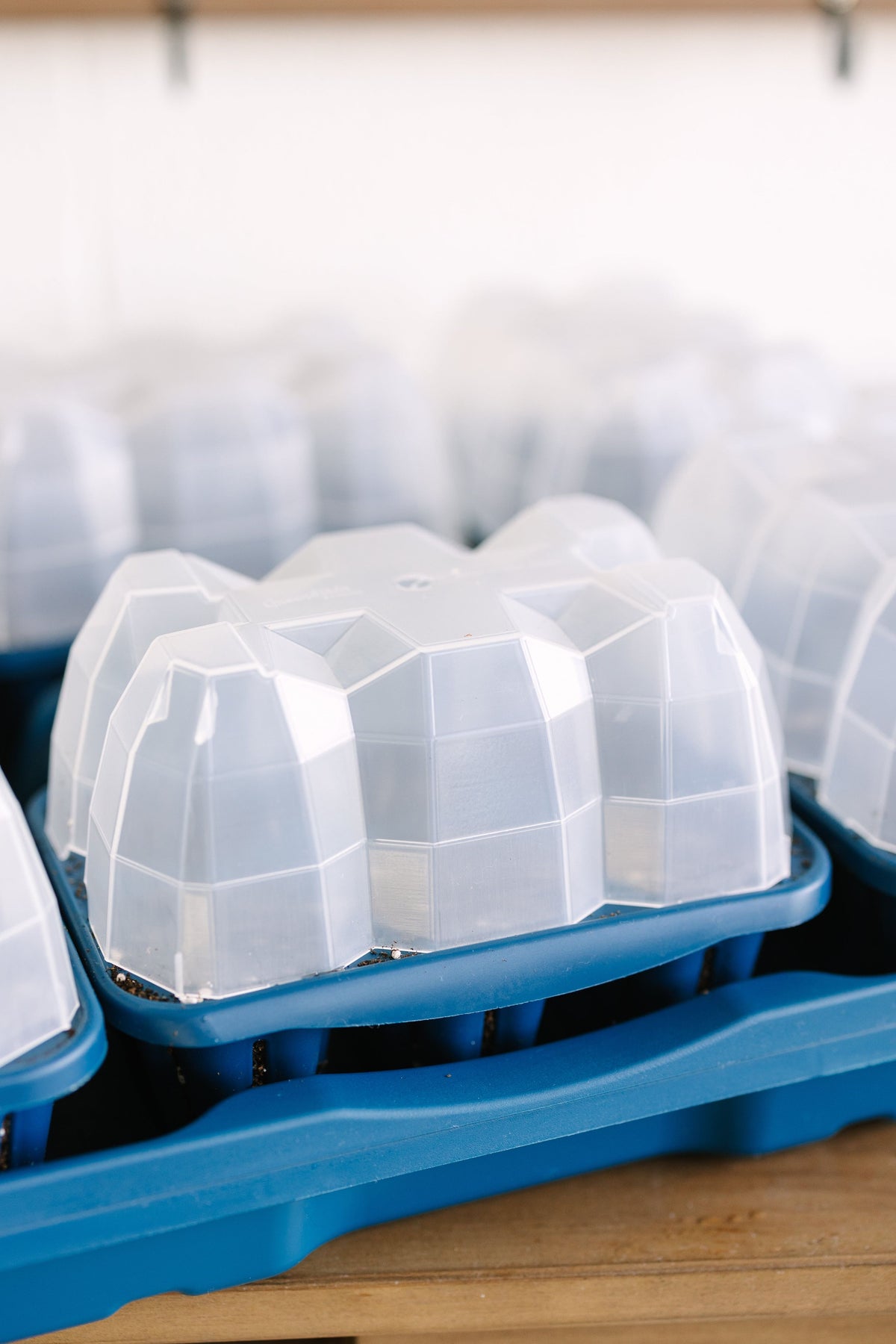 GreenStalk Seed Starter Kit with Domes | Blueberry 