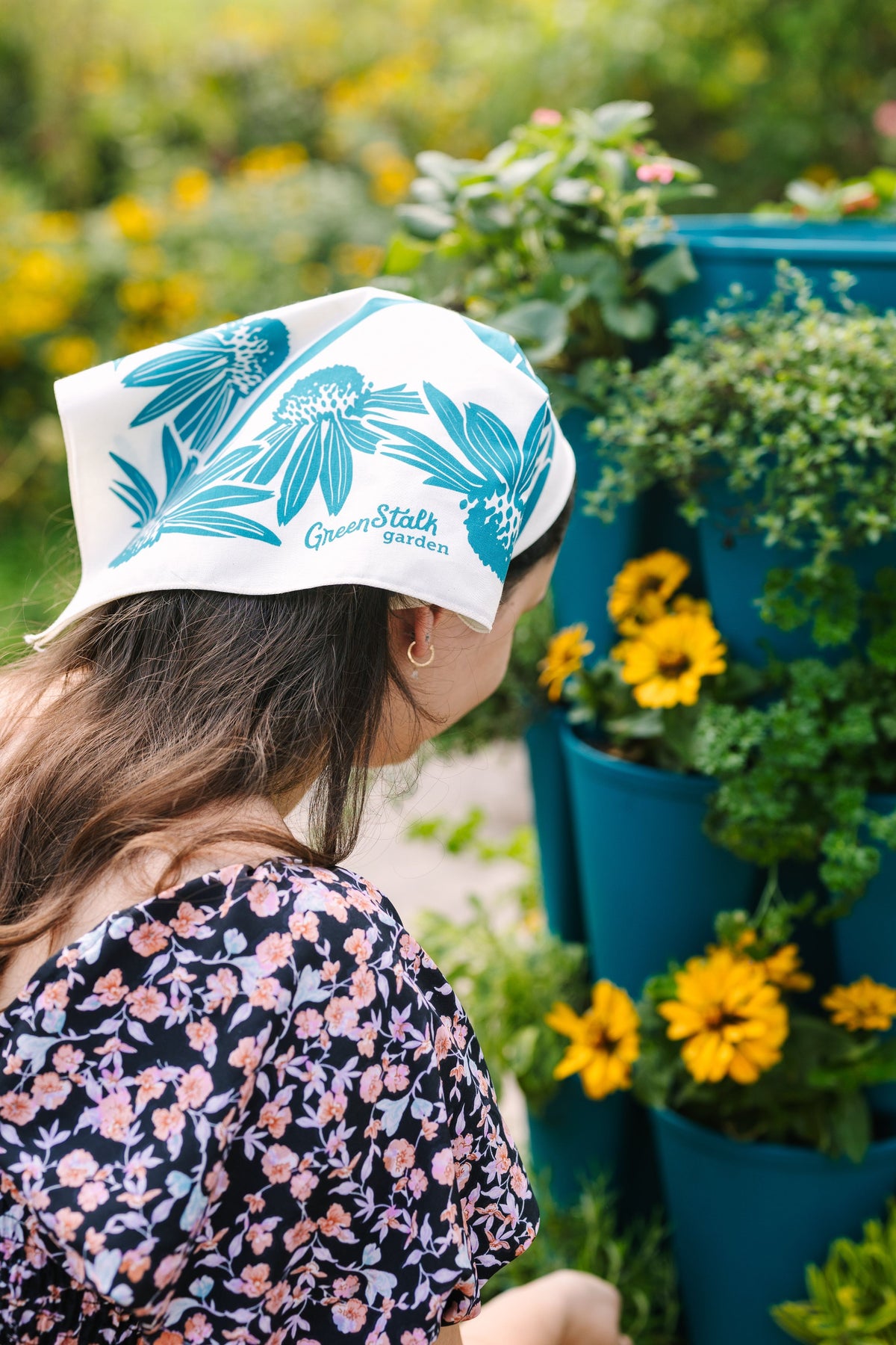 Dragonfly Bandana 