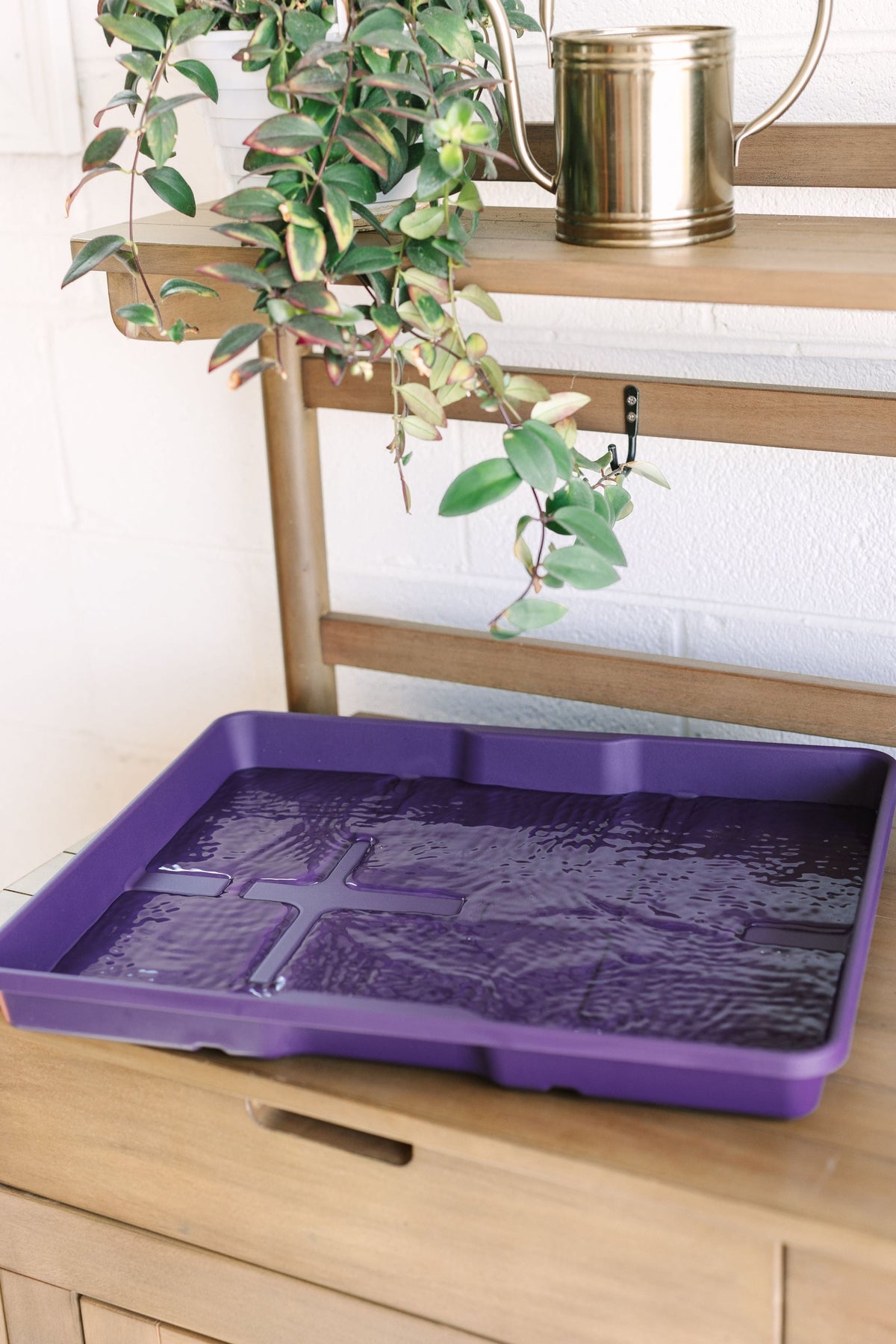 GreenStalk Carrier + Water Tray | Blackberry 