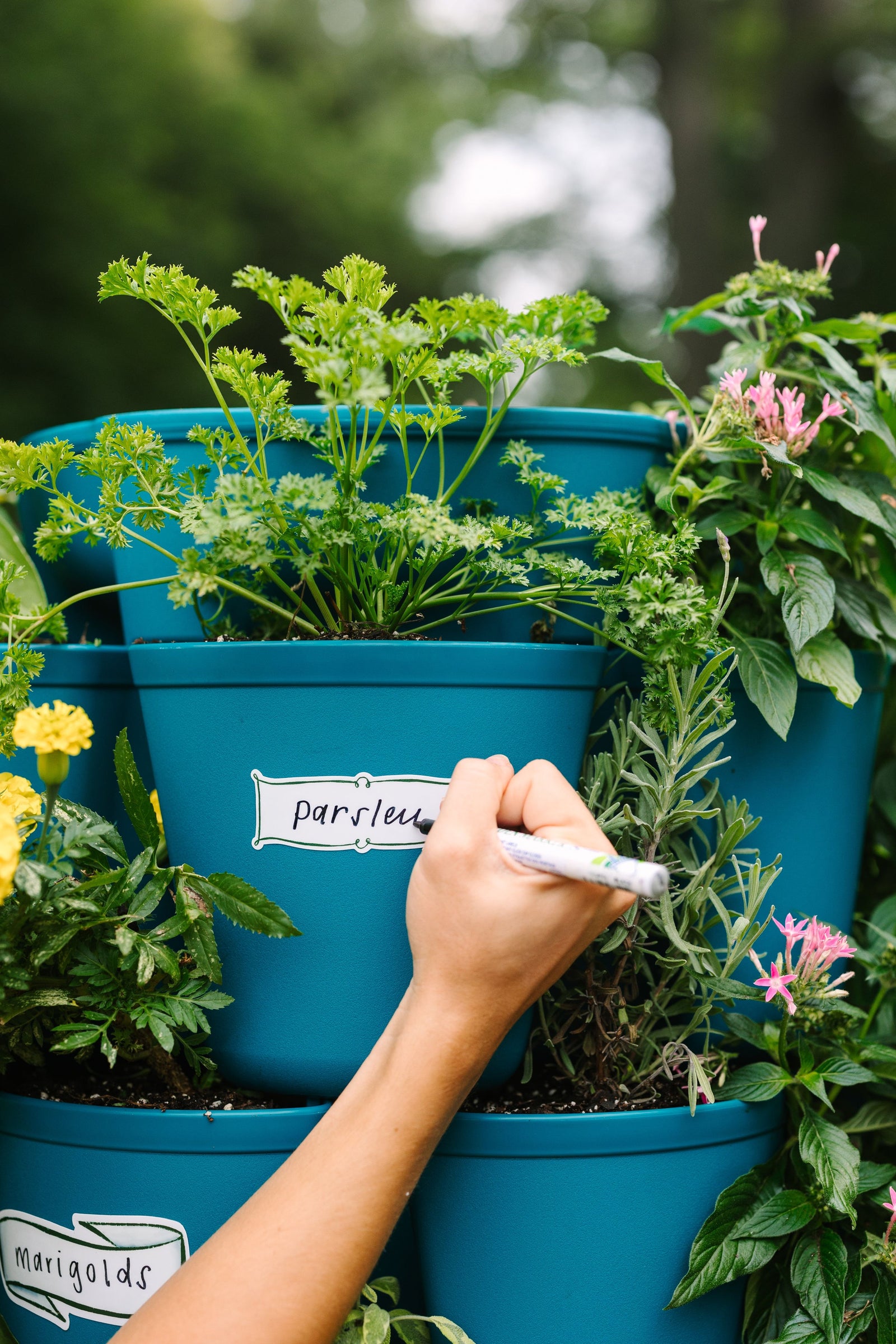 Blank Plant Marker Sticker - Pack of 6 