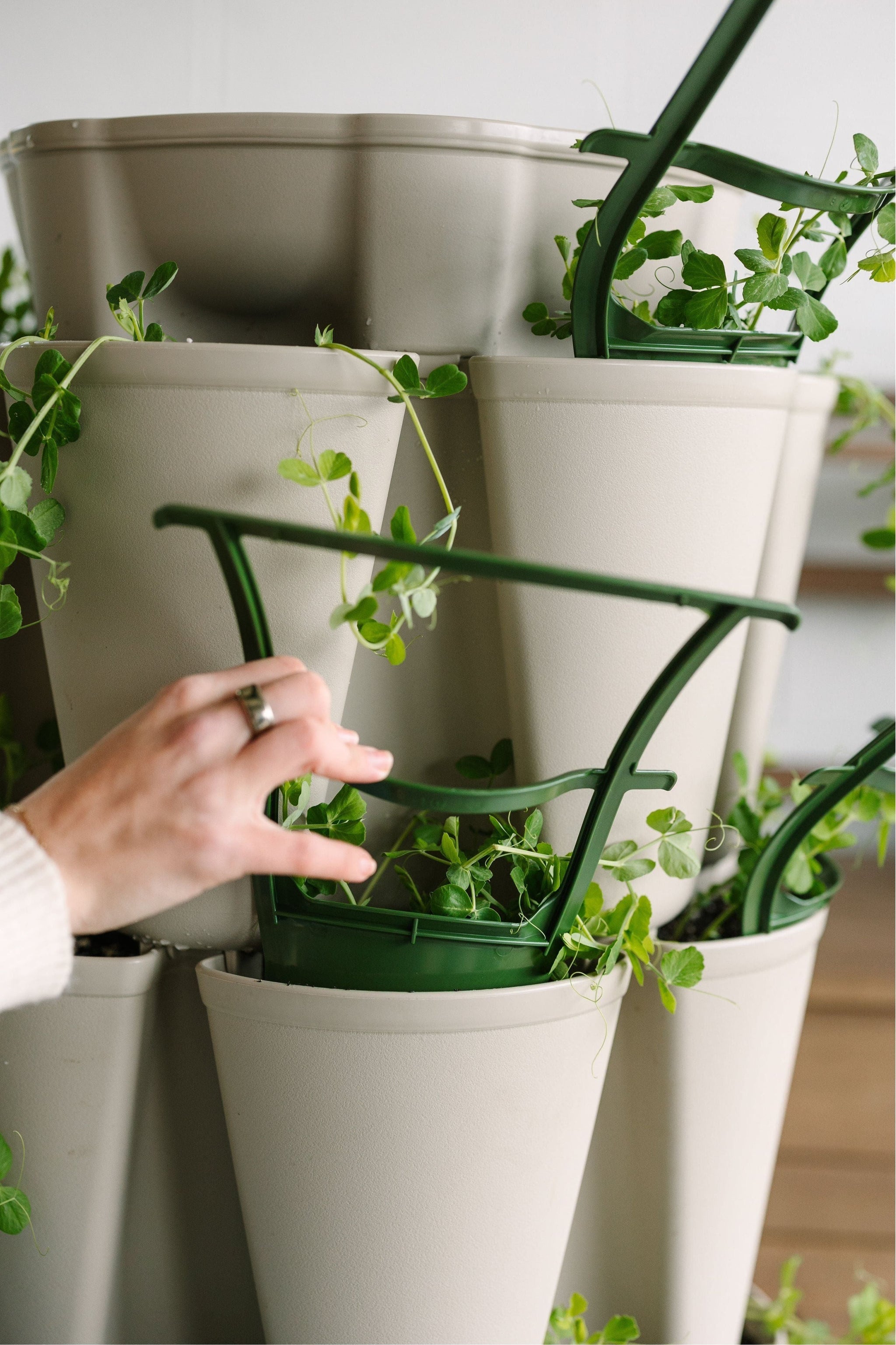 plant container with trellis GreenStalk Trellis
