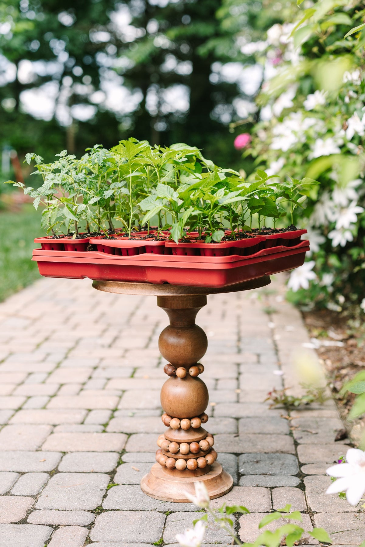 GreenStalk Seed Starter Kit with Domes | Tomato 