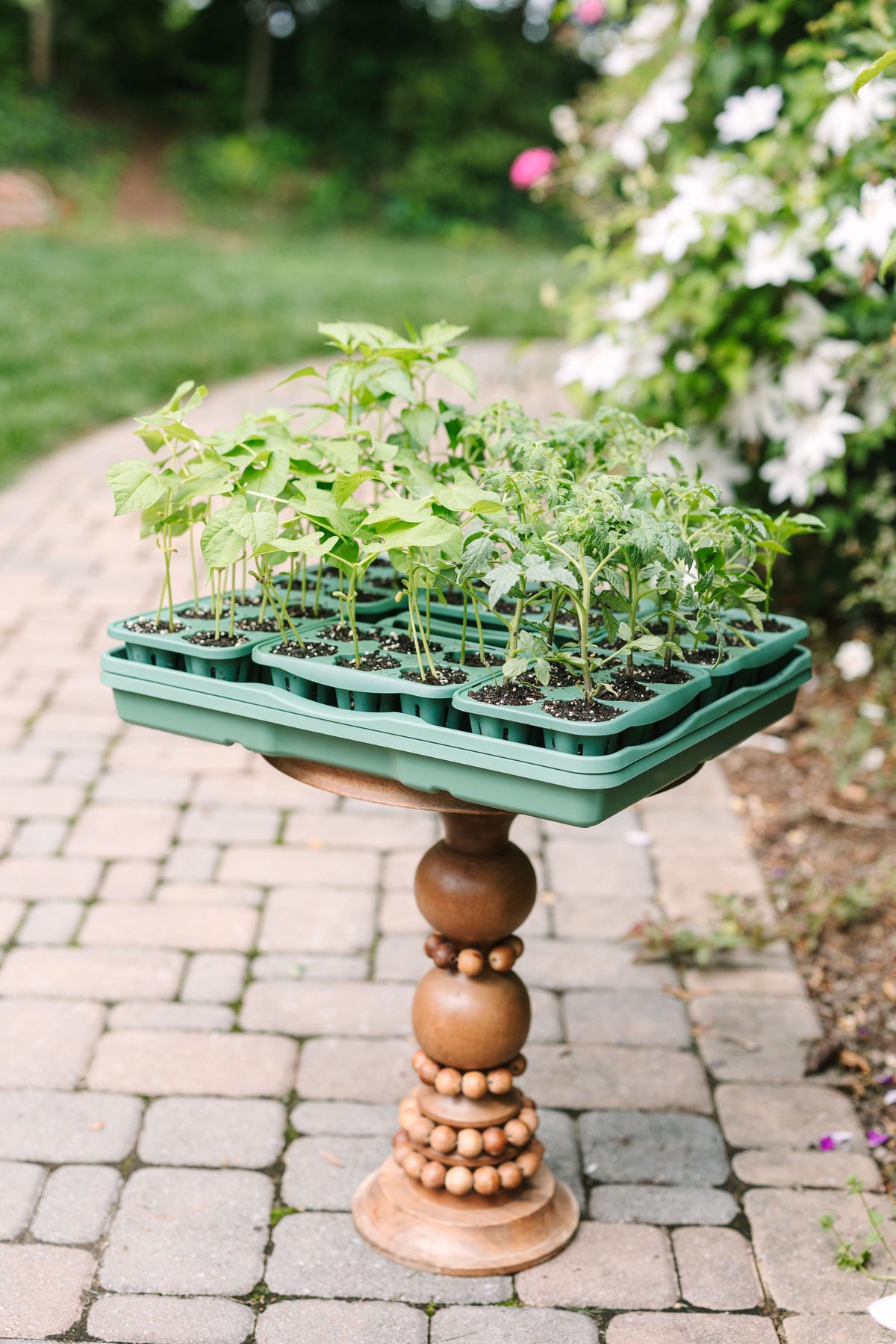GreenStalk Seed Starter Kit with Domes | Sage 