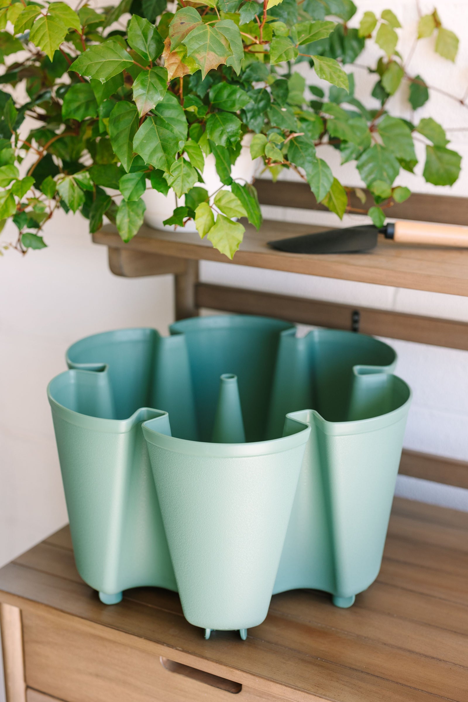 Individual Original Planter | Sage (Basic Texture) 