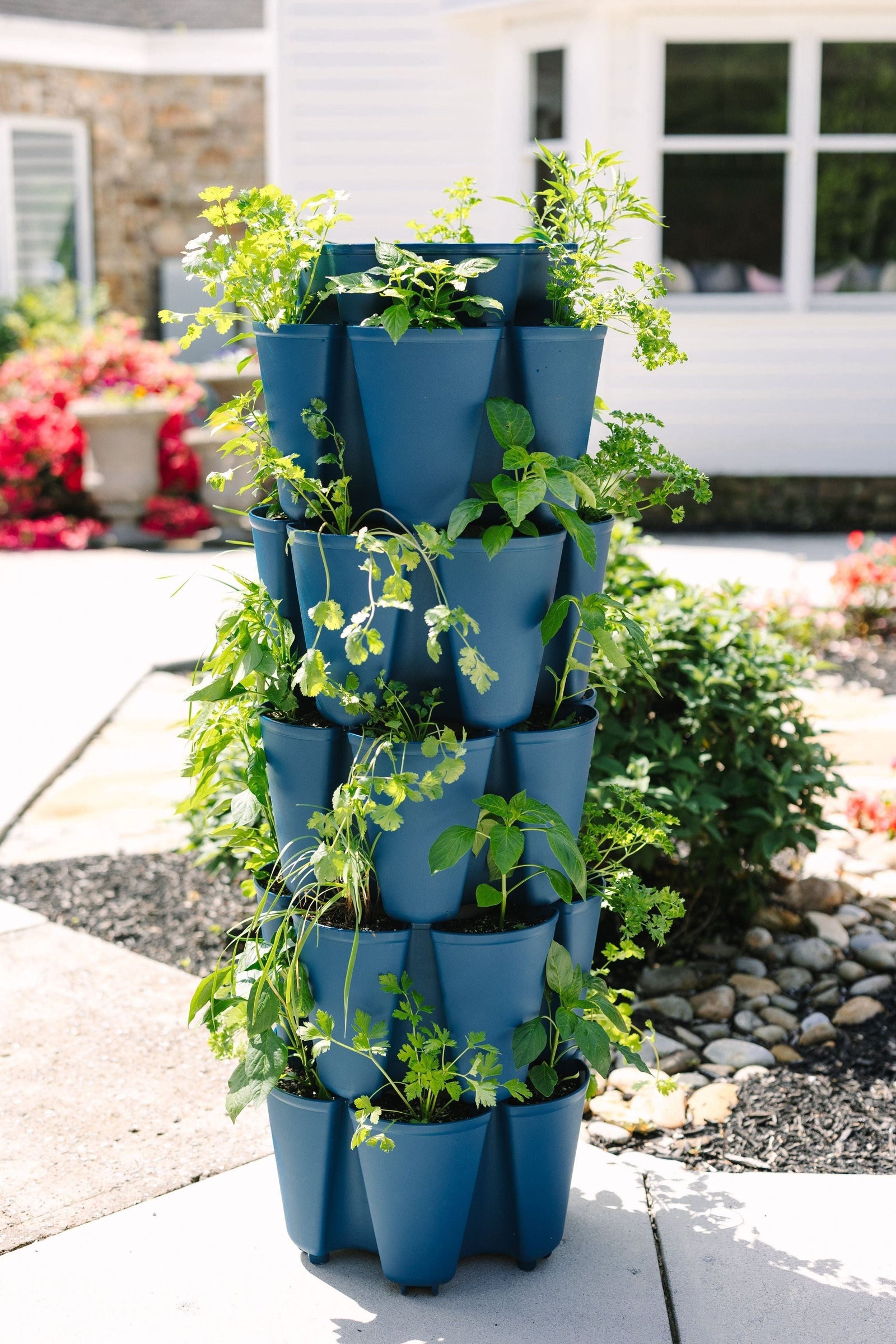 5 Tier GreenStalk Original Vertical Planter | Blueberry (Basic Texture) 