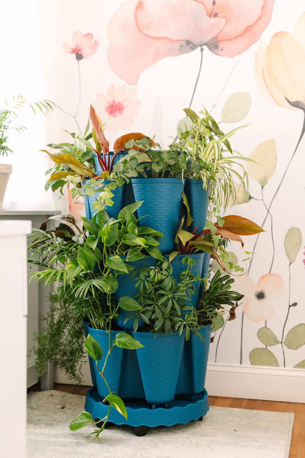 hanging blueberry plant GreenStalk Ultimate Mover | Blueberry