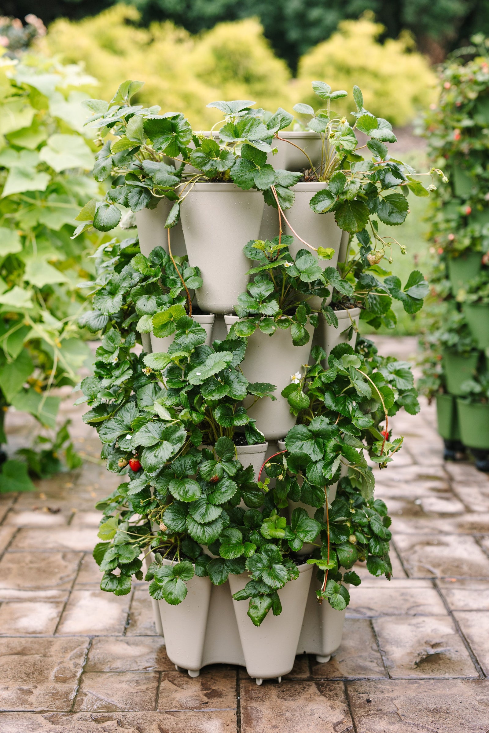 4 Tier GreenStalk Original Vertical Planter | Stunning Stone (Basic Texture) 