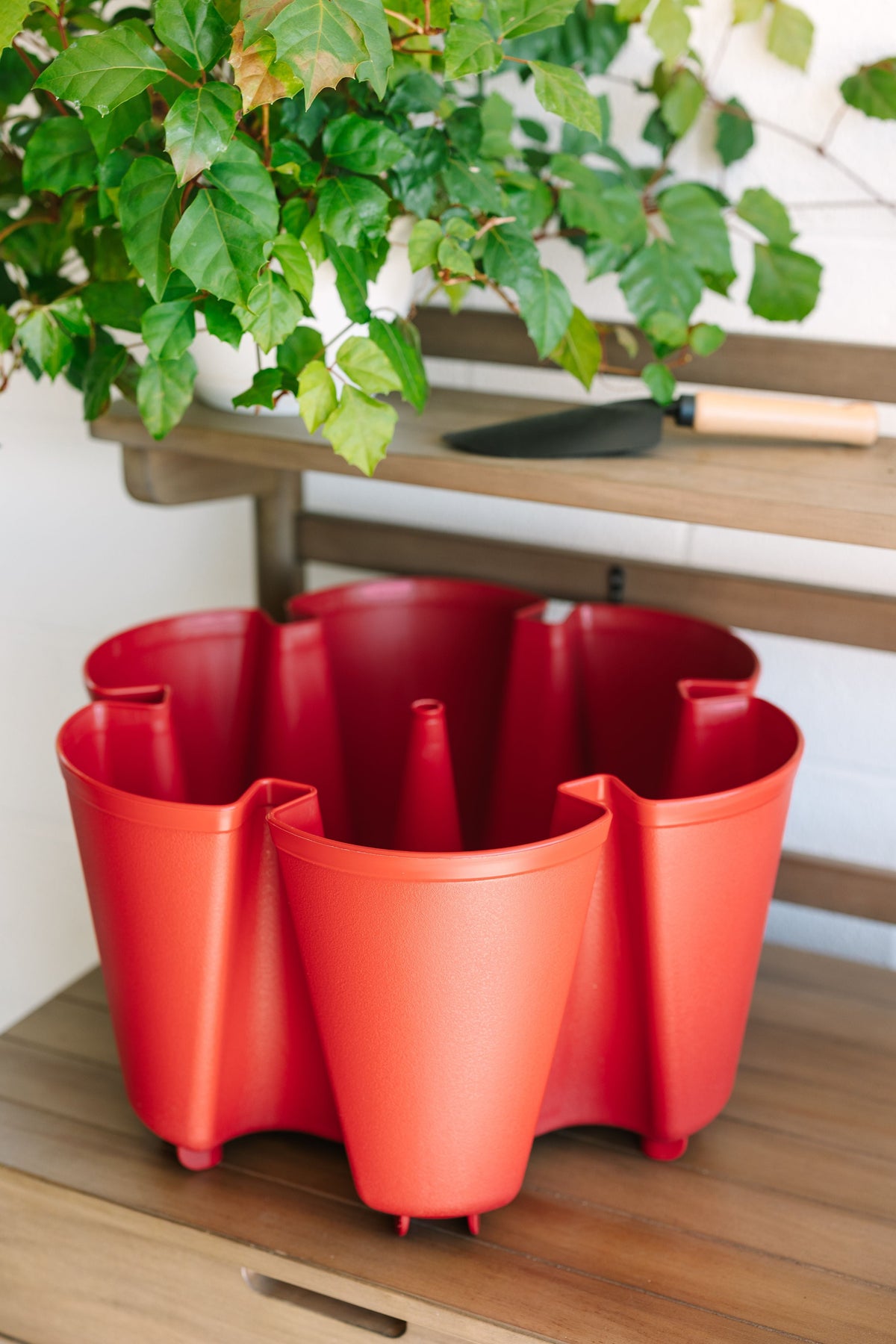 Individual Original Planter | Tomato (Basic Texture) 
