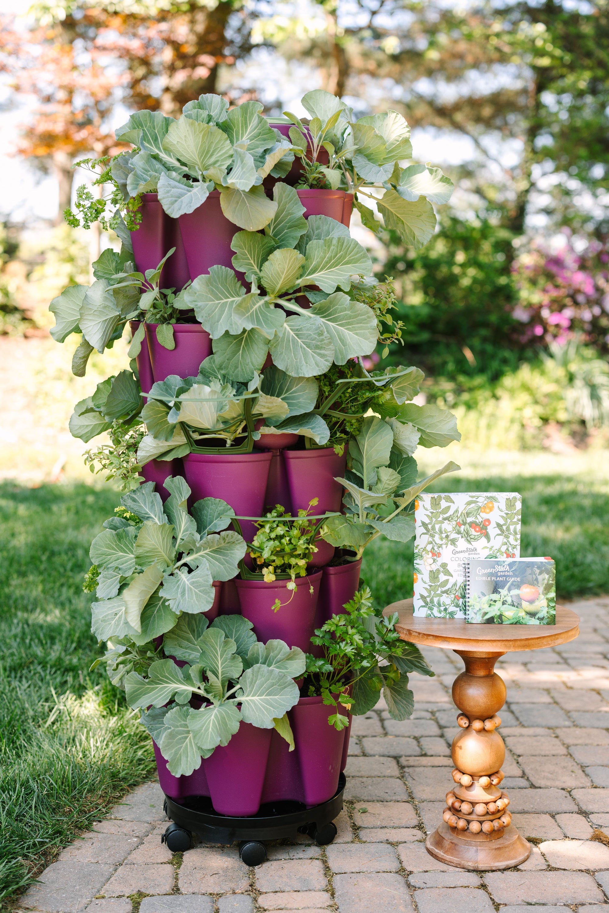 Razzleberry GreenStalk Planter Magnet | GreenStalk Garden