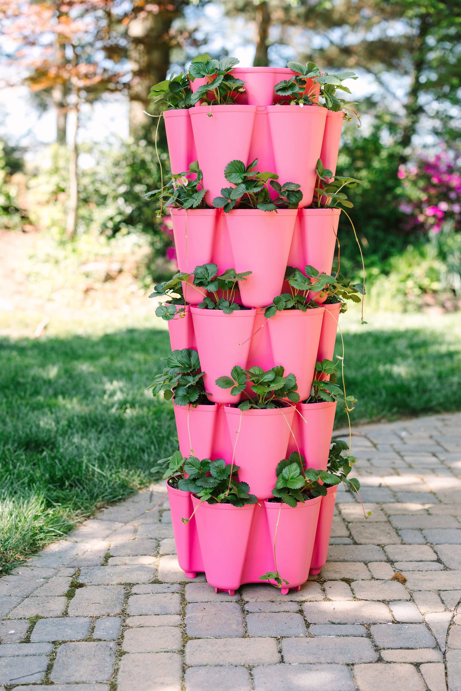5 Tier GreenStalk Original Vertical Planter | Strawberry Pink (Basic Texture) 