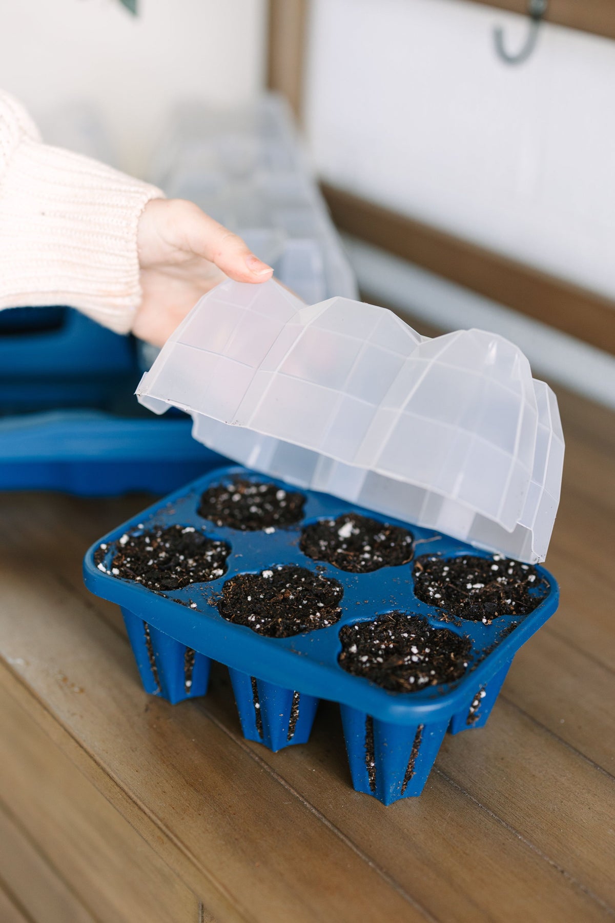 GreenStalk Seed Starter Kit with Domes | Blueberry 