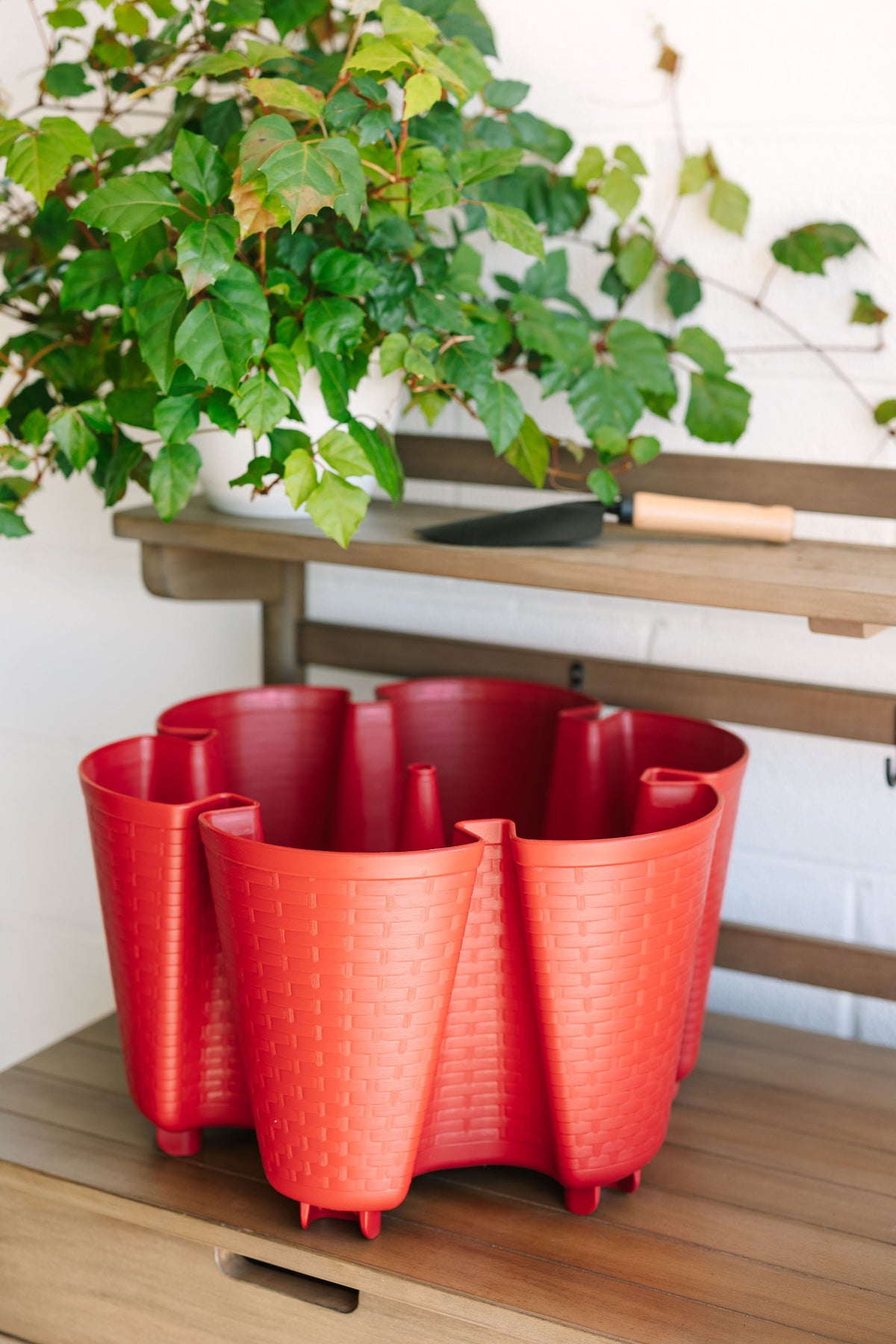 Individual Original Planter | Tomato (Basket Weave Texture) 