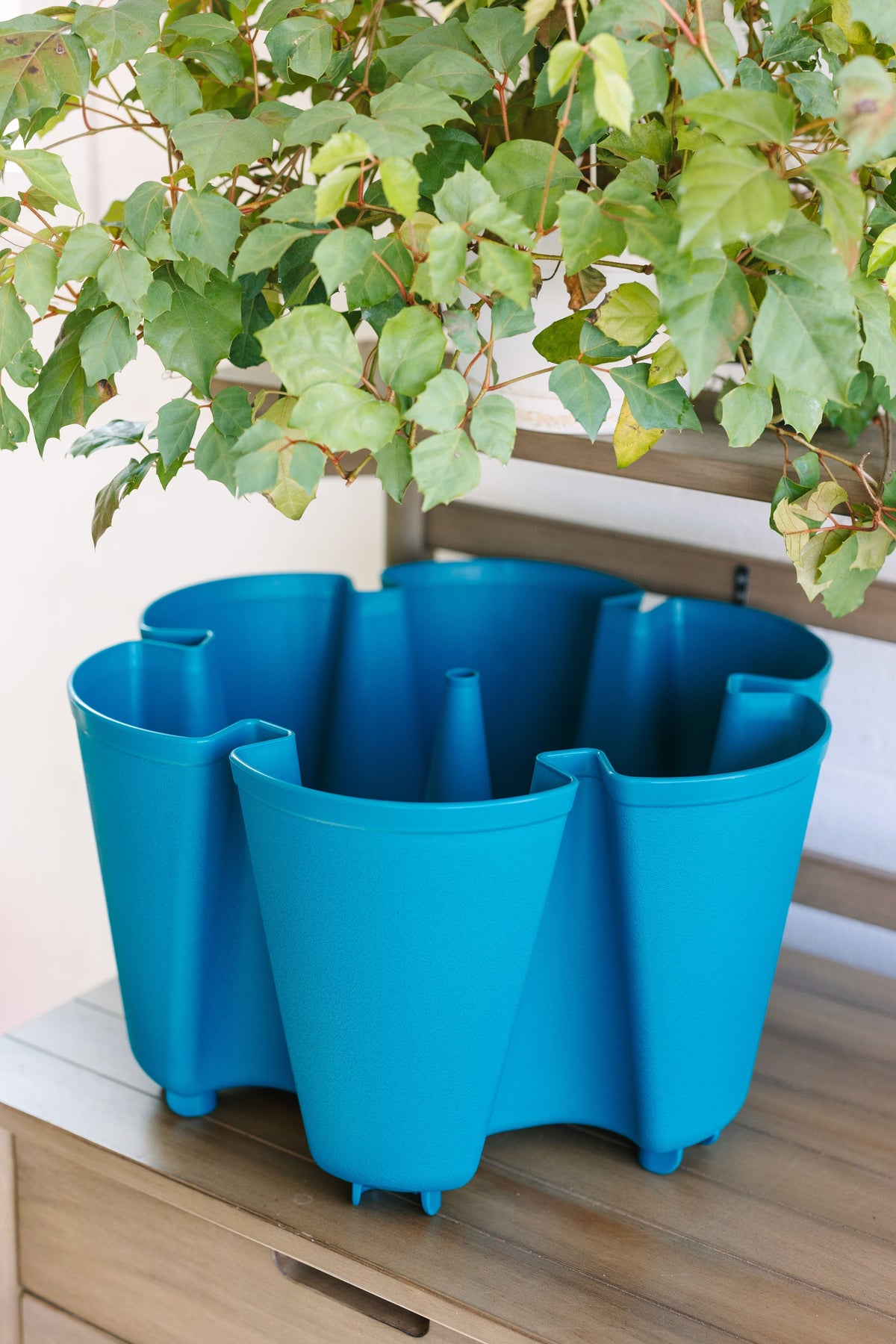 Individual Original Planter | Dragonfly (Basic Texture) 