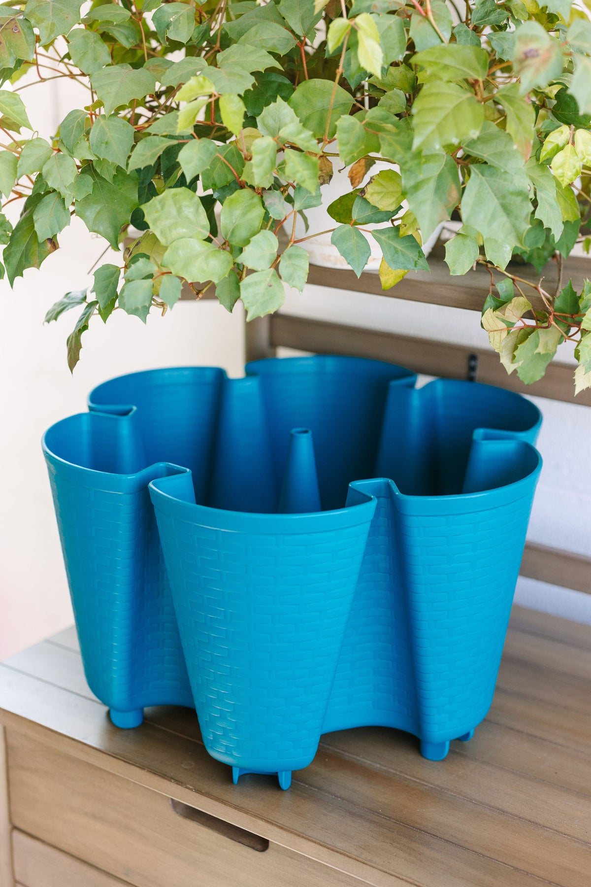 Individual Original Planter | Dragonfly (Basket Weave Texture) 