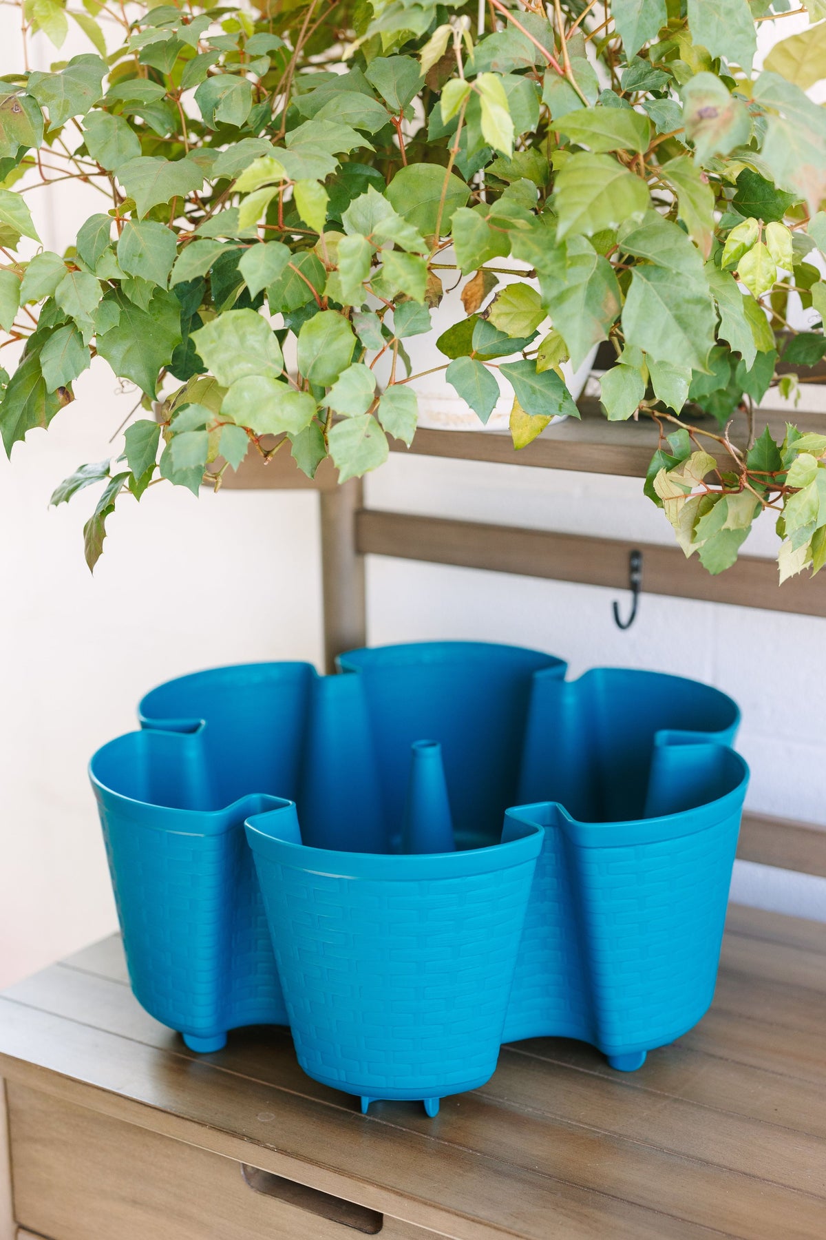 Individual Leaf Planter | Dragonfly (Basket Weave Texture) 