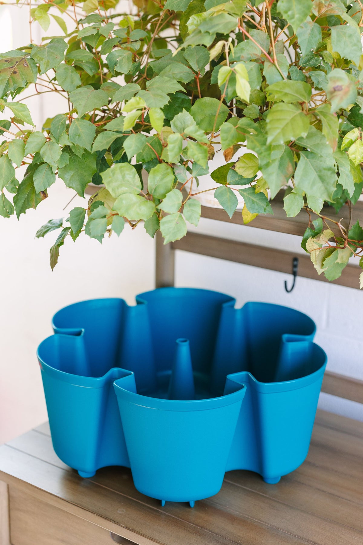 Individual Leaf Planter | Dragonfly (Basic Texture) 