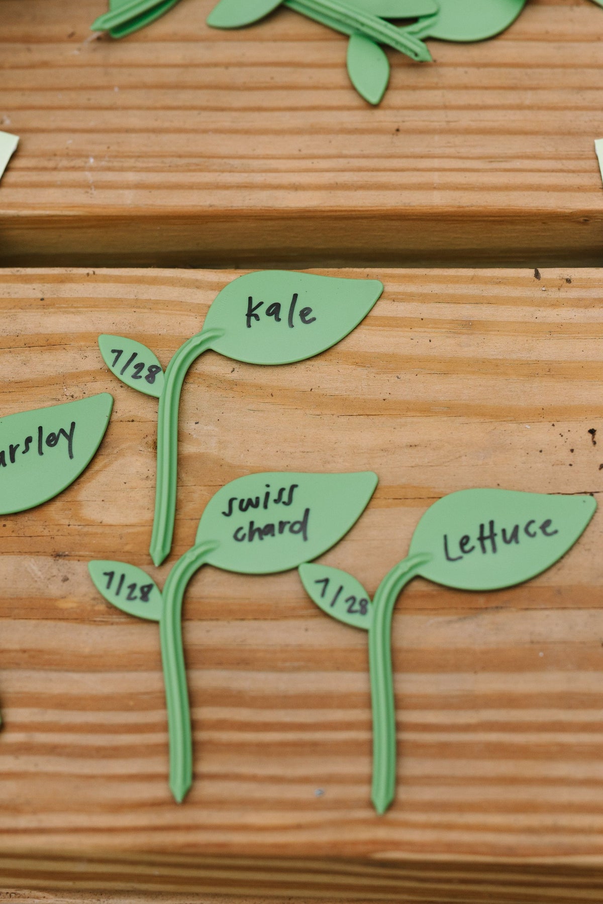 Reusable Sprout Marker - Set of 32 