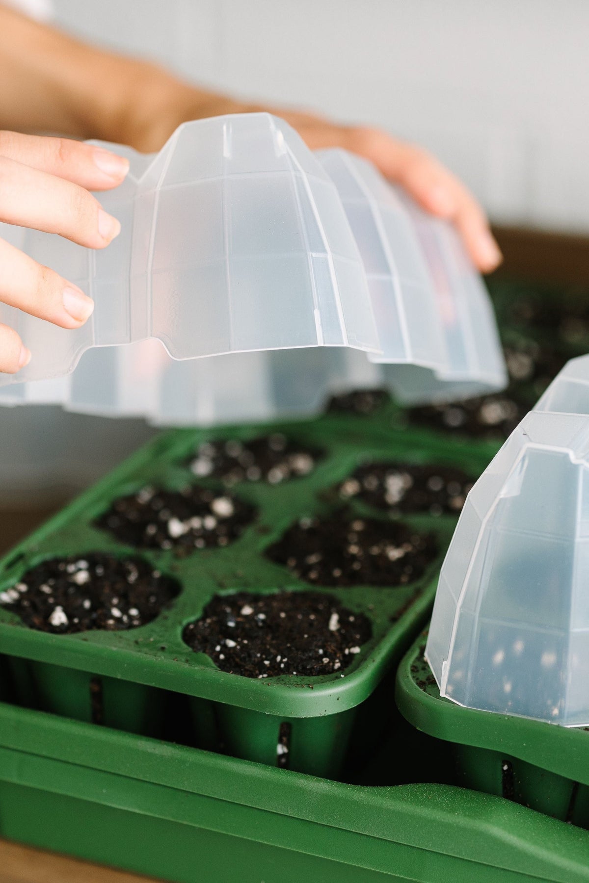 GreenStalk Seed Starter Kit with Domes | Evergreen 