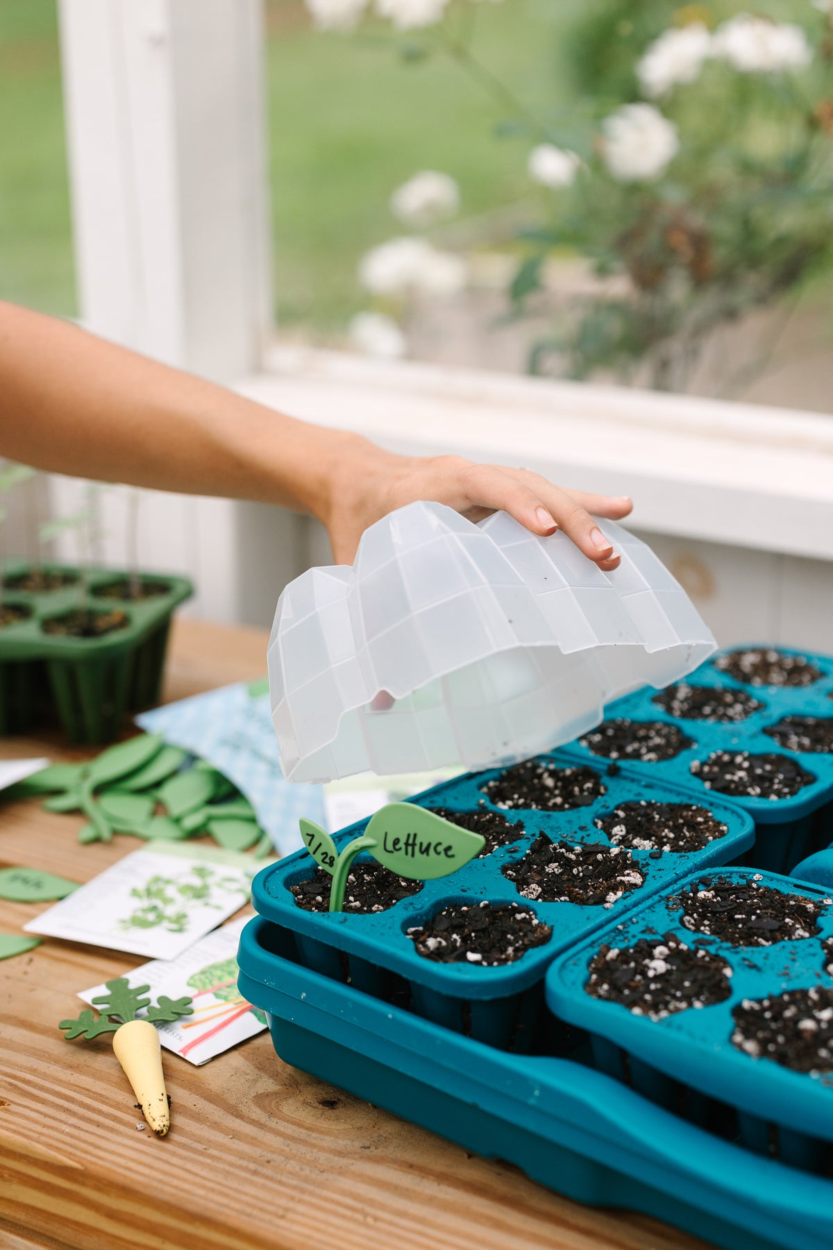 Seed Starting