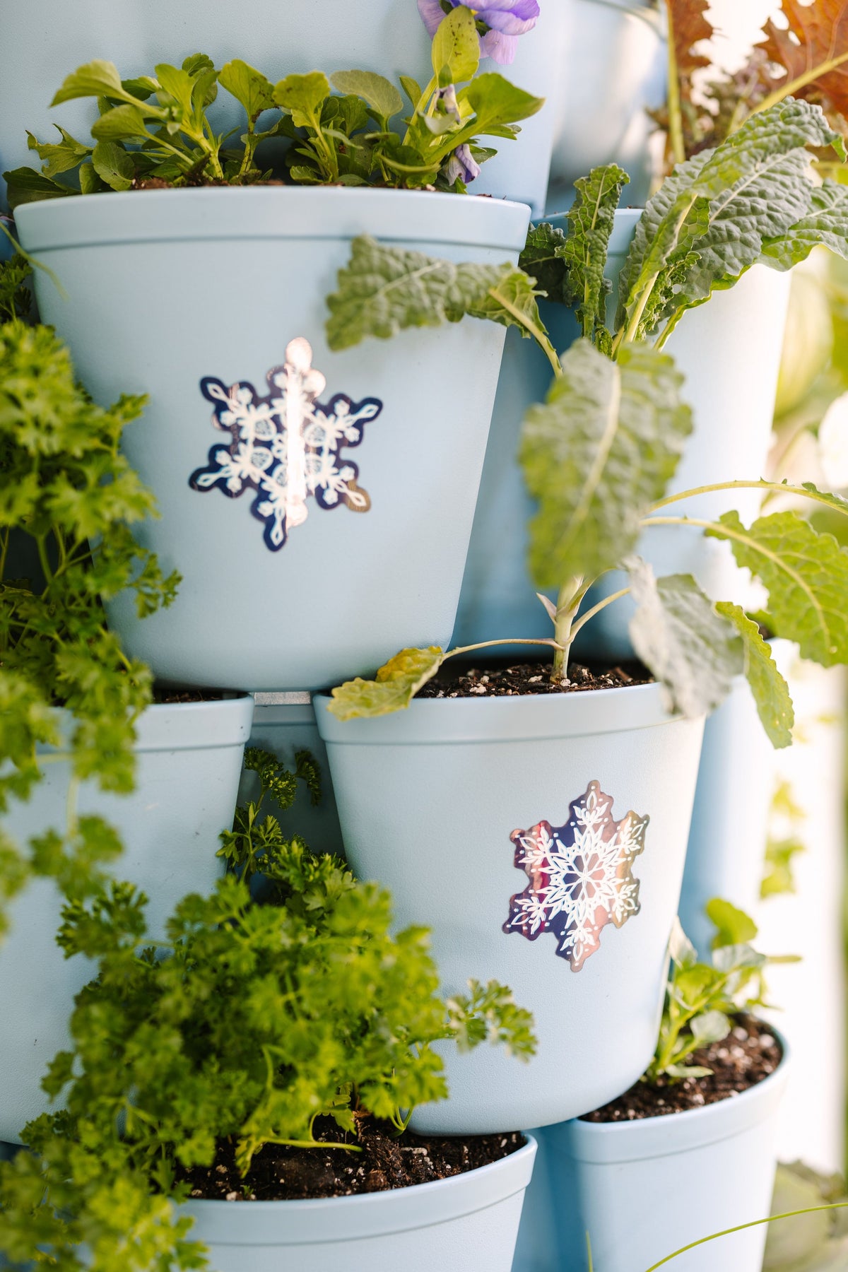 Glow In The Dark Snowflake Sticker - Set of 6 